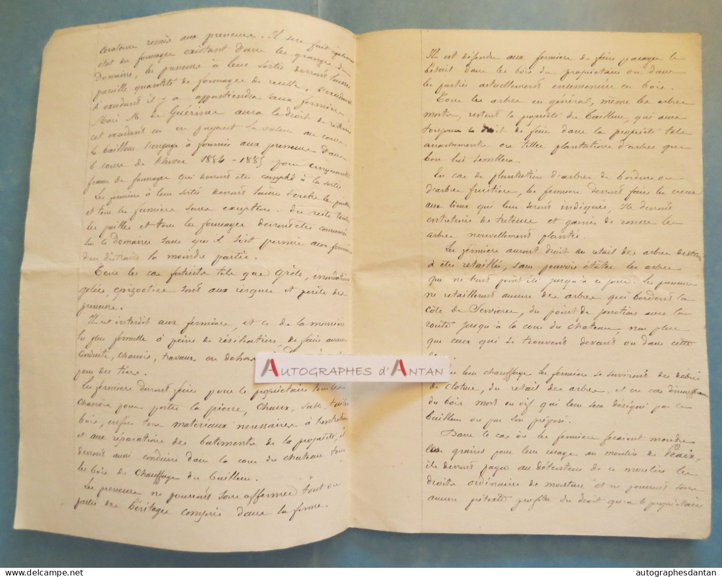 ● Acte 1884 Micolon De Guérines à Riom - Domaine De Servieres Saint Didier Sur Doulon - Du Crozet Bressolles Bruhat - Manuscripten