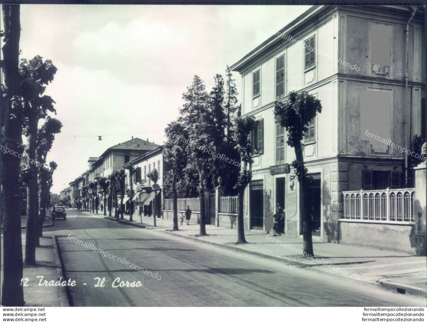 C299 - Cartolina Provincia Di Varese - Tradate  Il Corso-bella - Varese