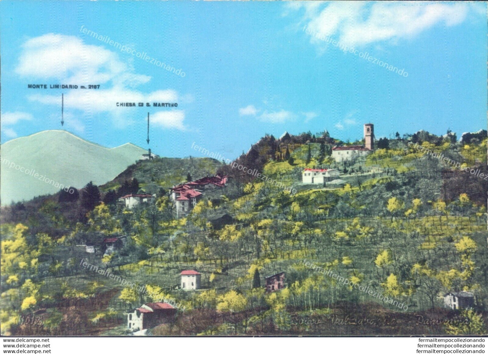 C456-cartolina Provincia Di Varese - Bosco Valtraglia Panorama - Varese