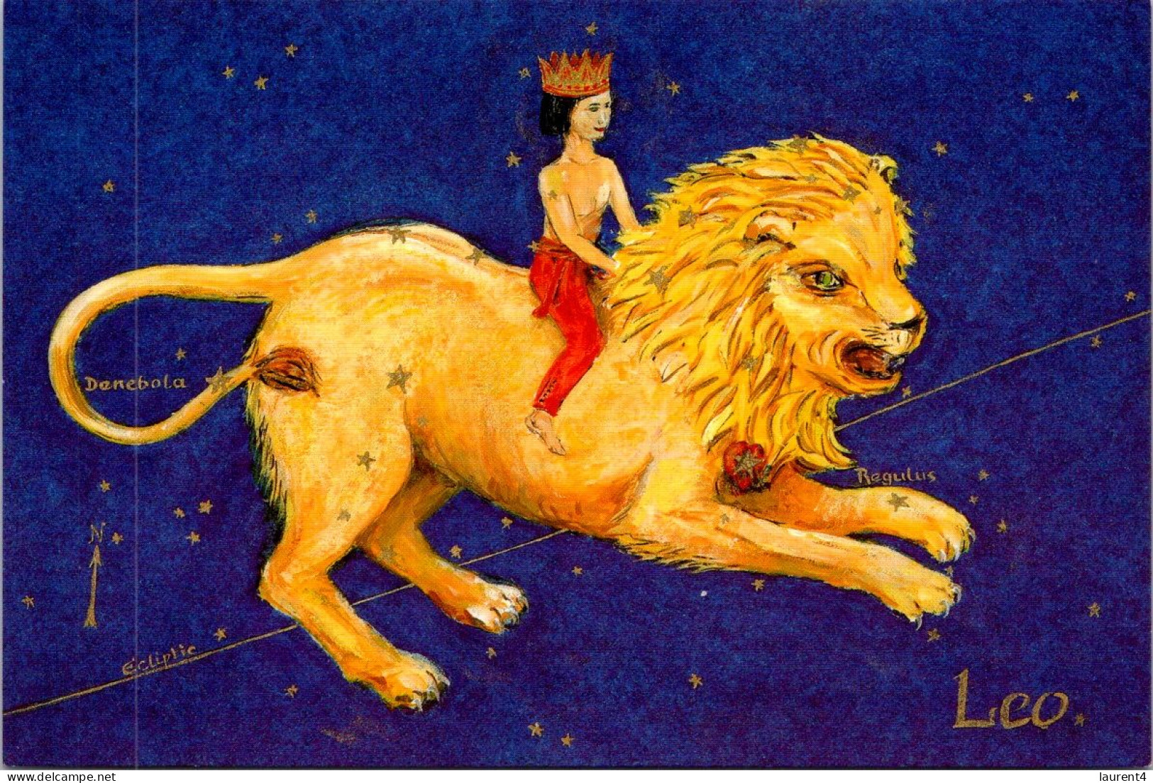23-4-2024 (2 Z 50) Australia - Leo / Lion (Sagitarius Sign) - Leeuwen