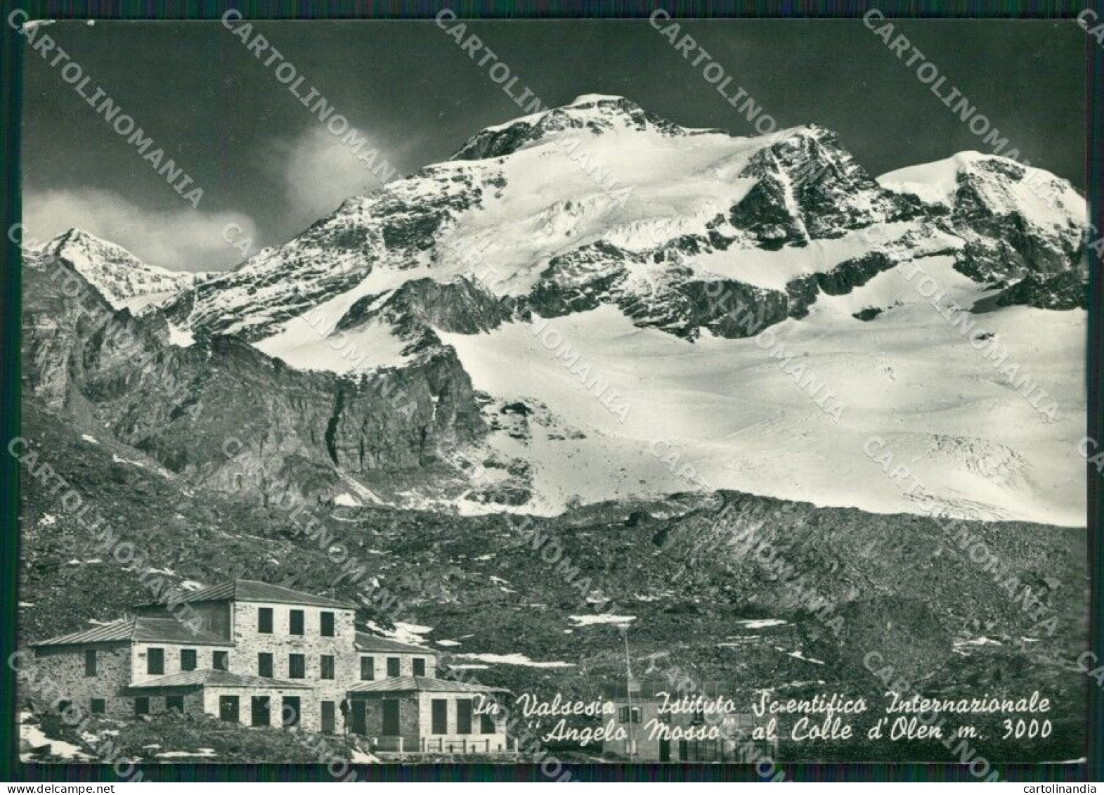 Vercelli Alagna Valsesia Istituto Mosso Colle D'Olen Foto FG Cartolina KB2898 - Vercelli