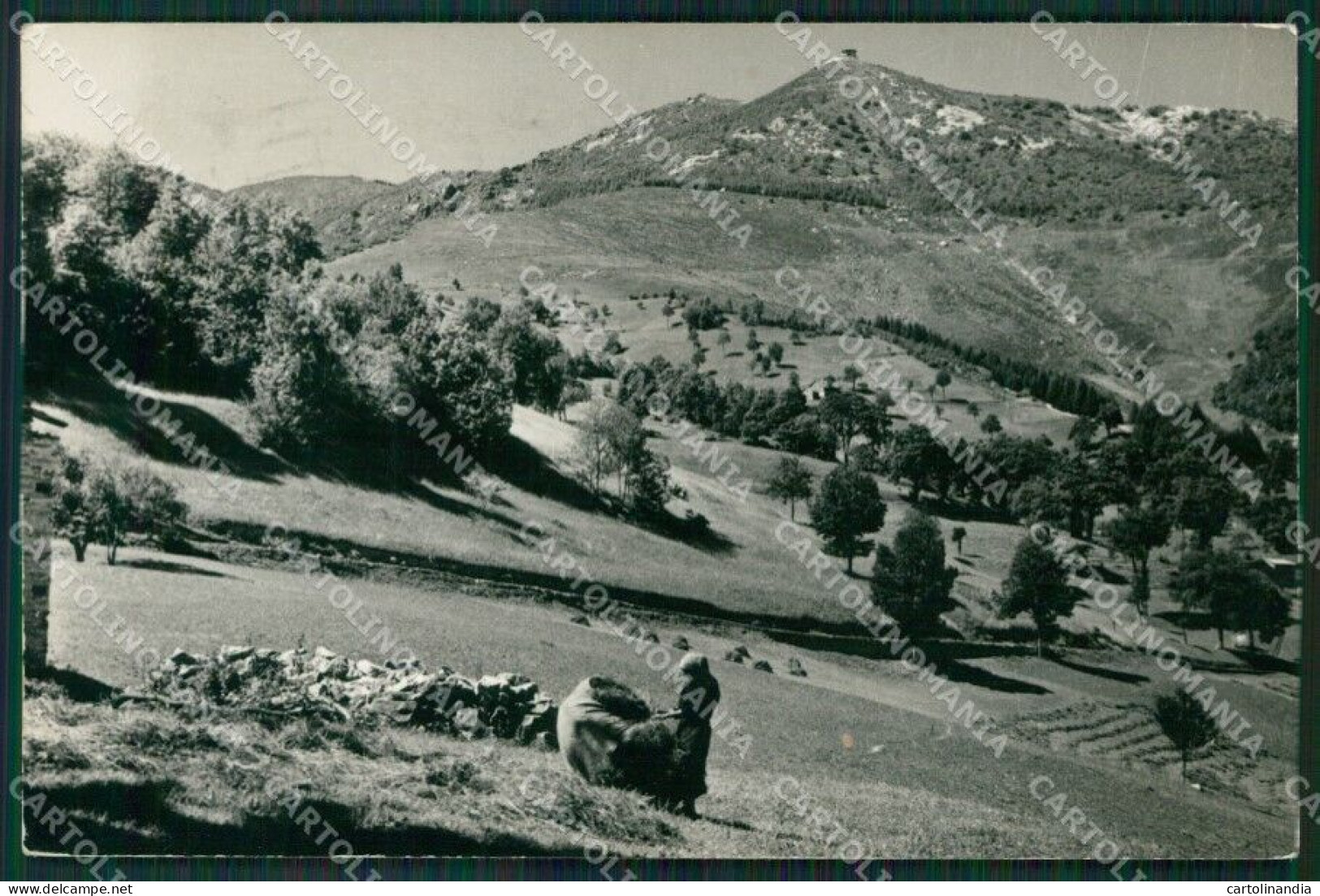 Cuneo Frabosa Soprana Monte Moro Foto FG Cartolina KB2978 - Cuneo