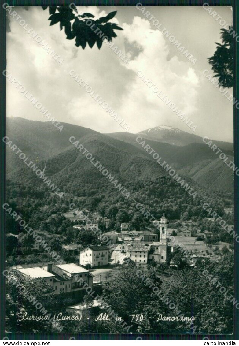 Cuneo Roccaforte Mondovì Lurisia PIEGA Foto FG Cartolina KB2984 - Cuneo