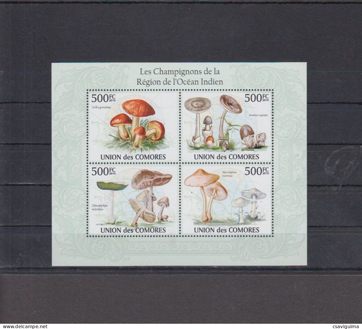 Comores - 2009 - Mushrooms - Yv 1935/38 - Mushrooms