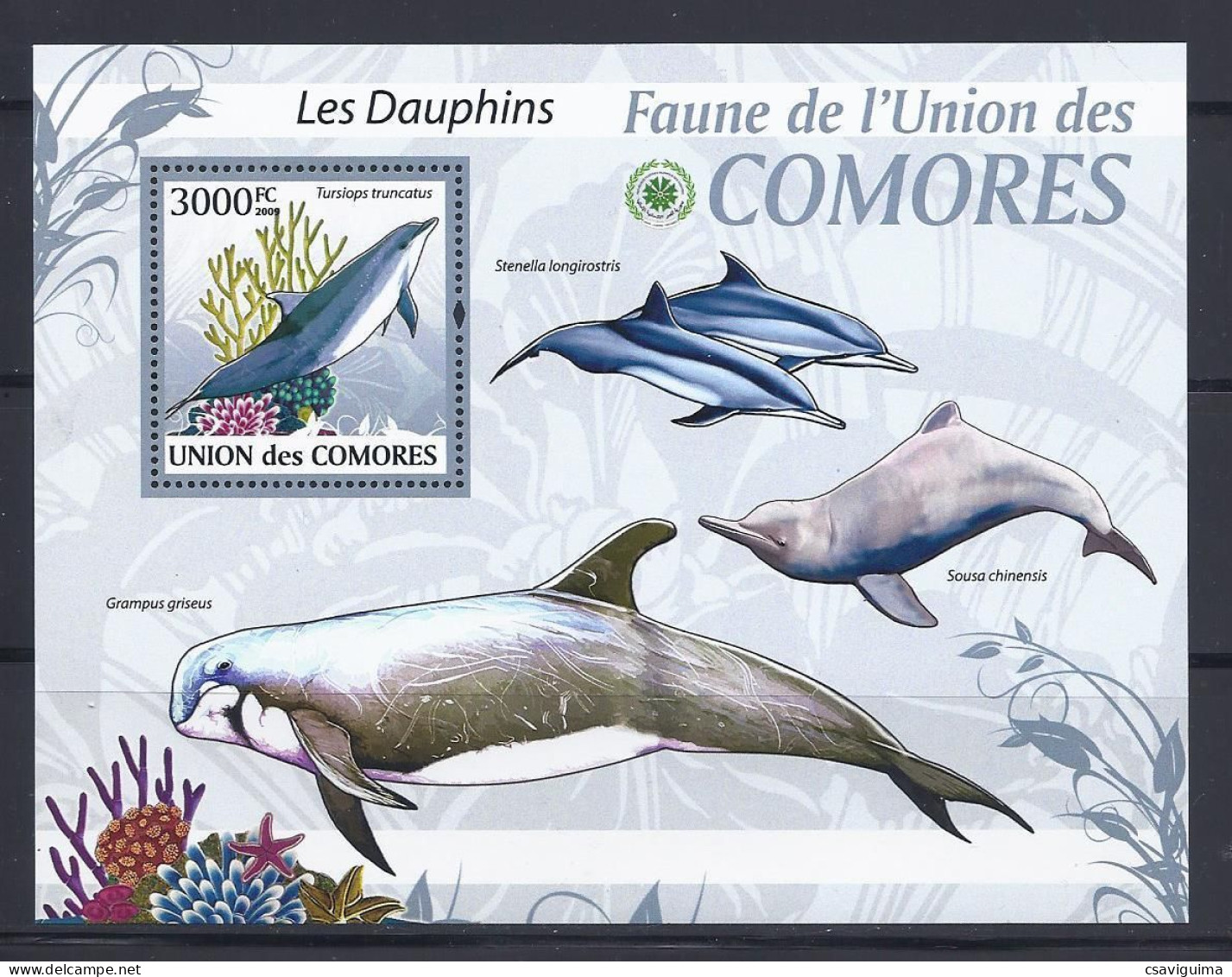 Comores - 2009 - Dolphins - Yv Bf 198 - Delfines