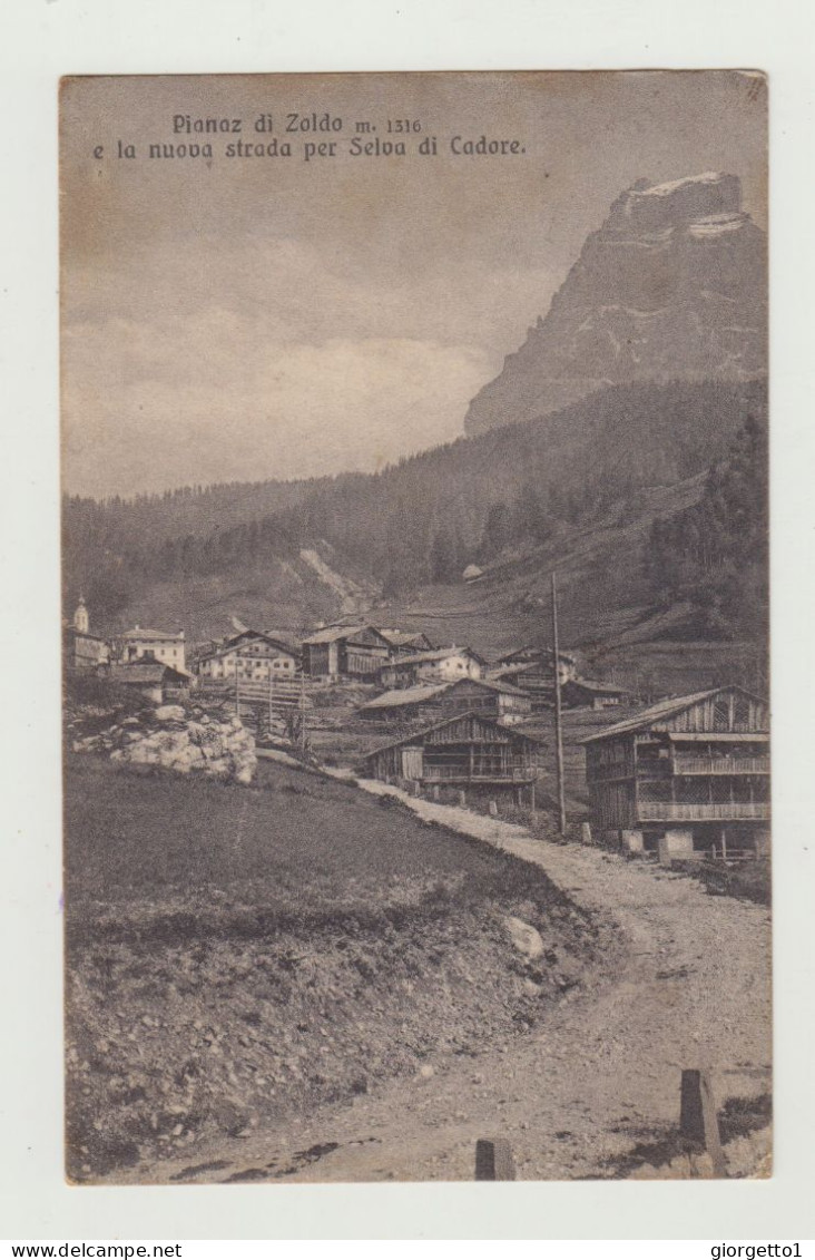 CARTOLINA ILLUSTRATA VAL DI ZOLDO - VIAGGIATA NEL 1918 VERSO SIENA PER DI PALMA WW1 - Belluno