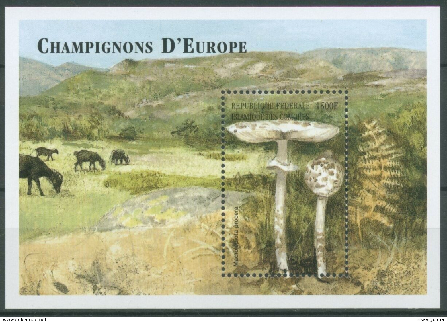 Comores - 1999 - Mushrooms - Yv Bf 93 - Mushrooms