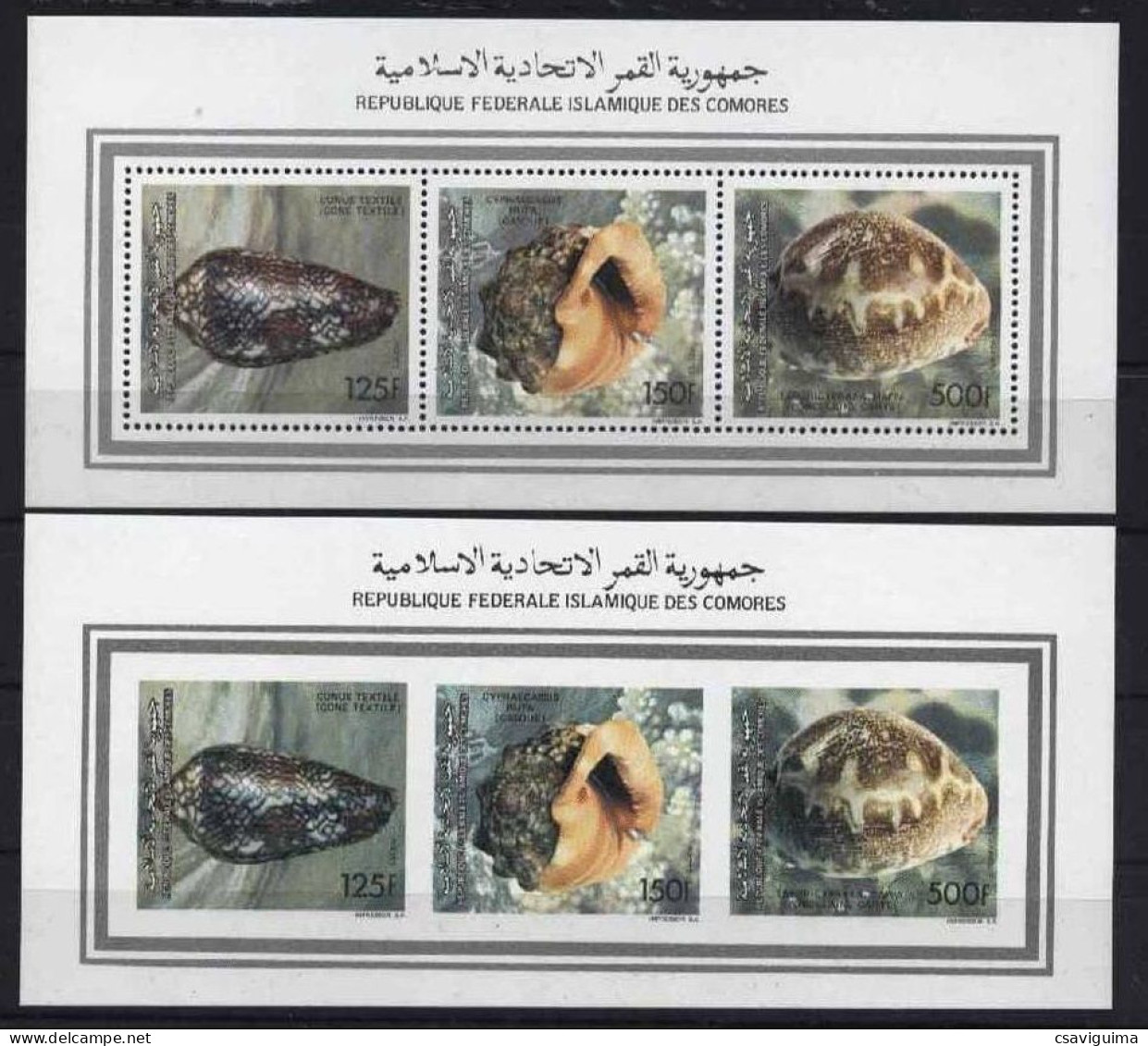 Comores - 1992 - Shells - Yv 541/42 + Aer 305 - Schelpen