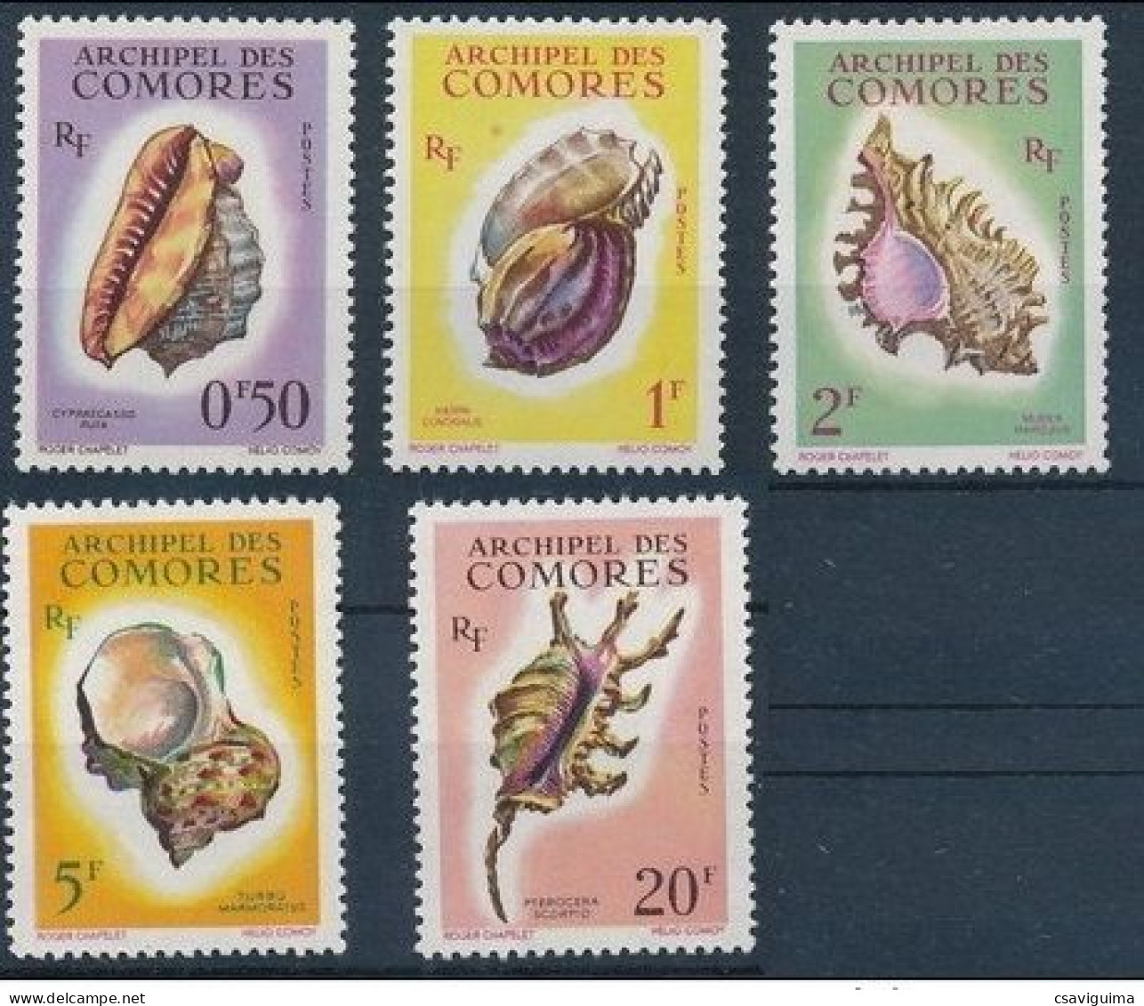 Comores - 1962 - Shell - Yv 19/23 - Muscheln