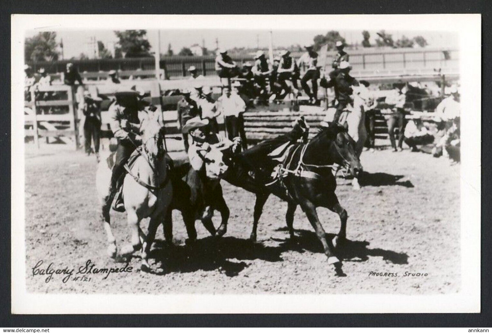 Calgary Stampede / Rodeo - Calgary Alberta Canada - RPPC CKC 1910-1962 Progress Studio - Exposiciones