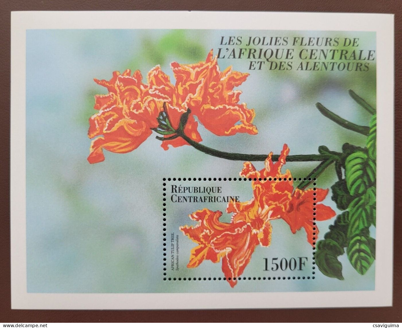 Central Africa Rep. (Centrafricaine) - 1999 - Flowers - Yv Bf 177A - Other & Unclassified