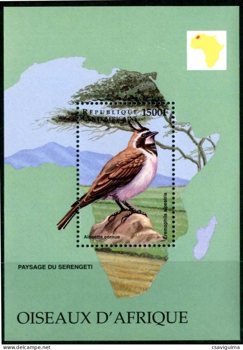 Central Africa Rep. (Centrafricaine) - 1999 - Birds - Yv Bf 161 - Sonstige & Ohne Zuordnung