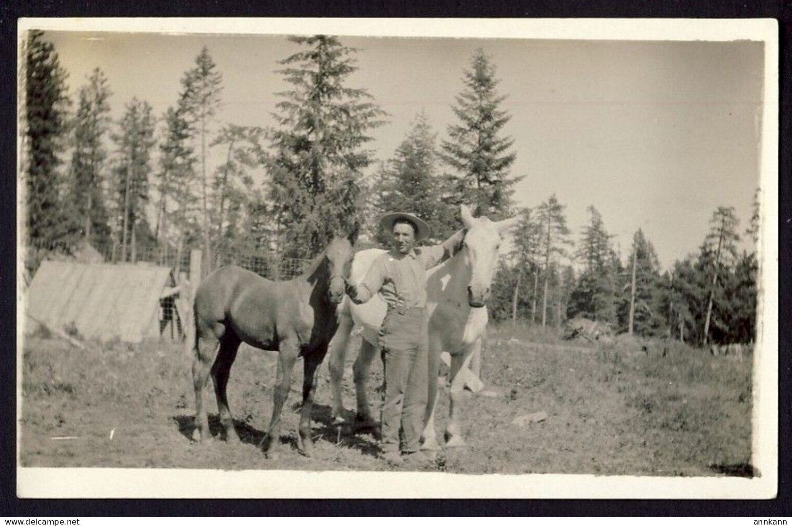 RPPC Man Farmer Horses Tent Homesteading Clearing Trees USA Real Photo Postcard - Fattorie