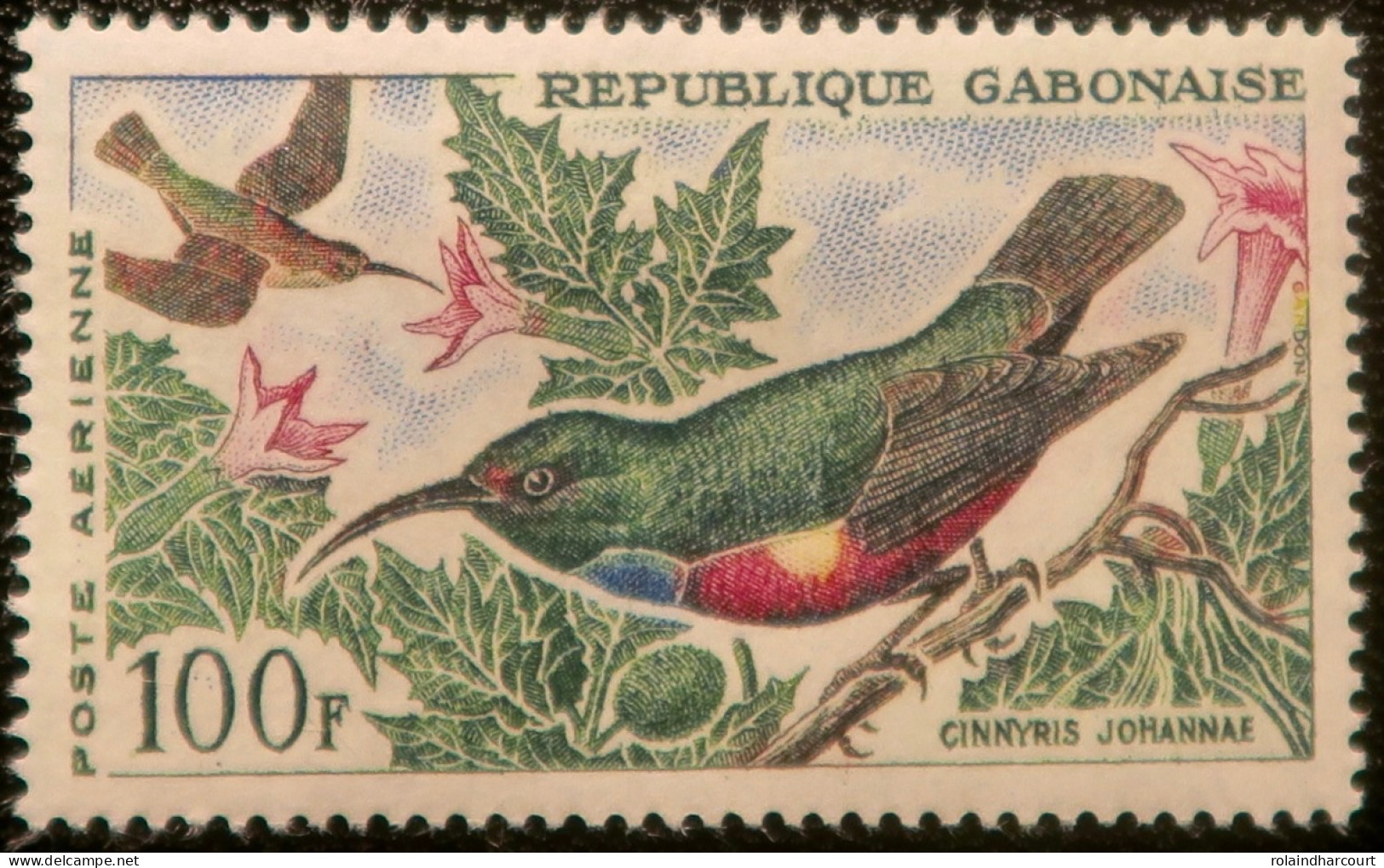 R2253/752 - GABON - 1963/1964 - POSTE AERIENNE - N°14 NEUF** - Gabun (1960-...)