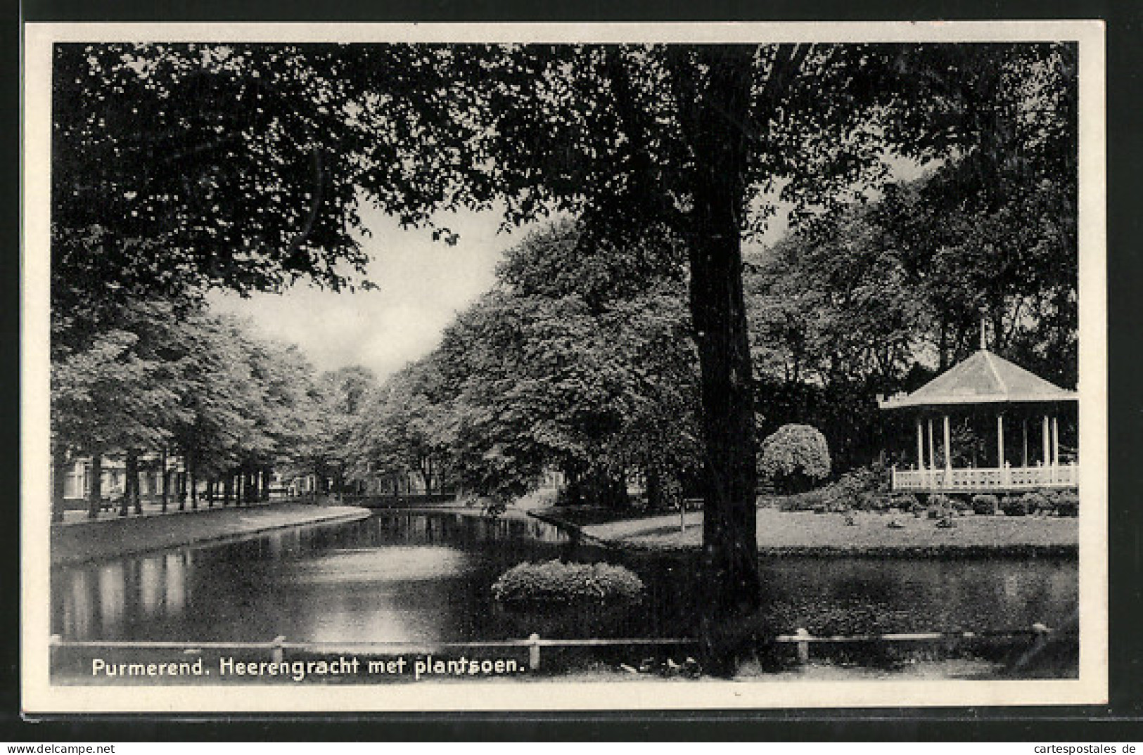 AK Purmerend, Heerengracht Met Plantsoen  - Purmerend