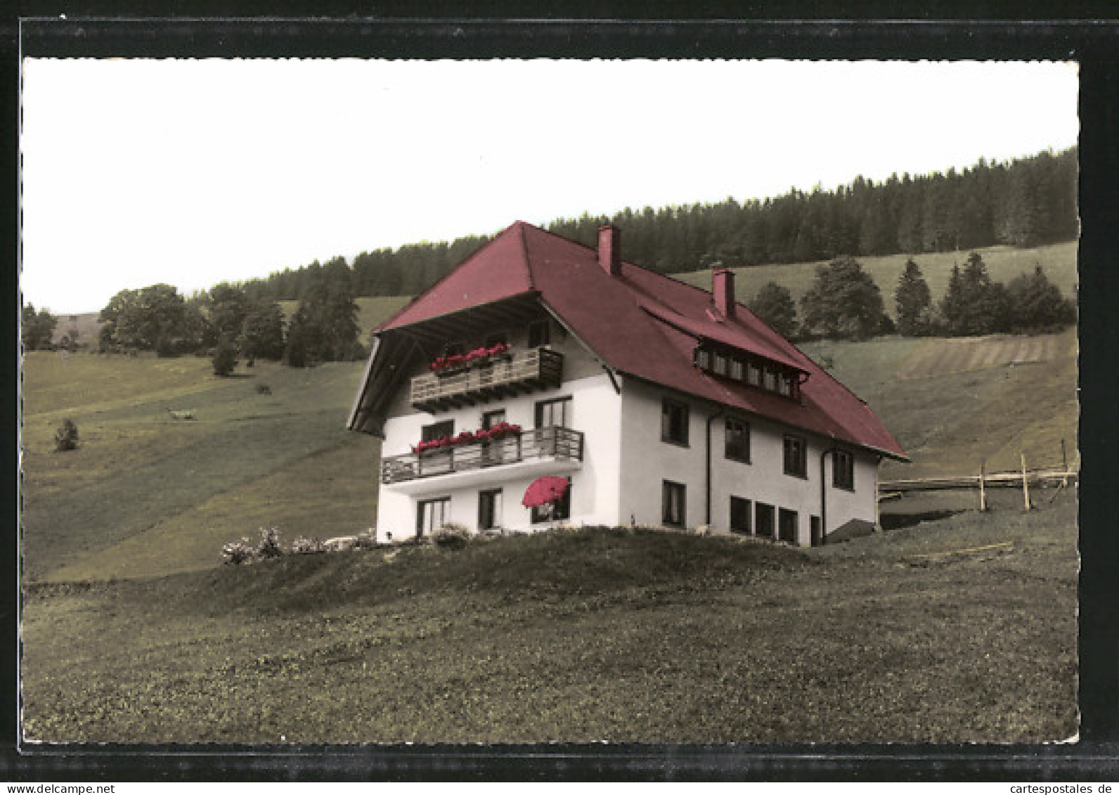 AK Todtnau, Blick Zur Pension Elisabeth, Gesamtansicht  - Todtnau