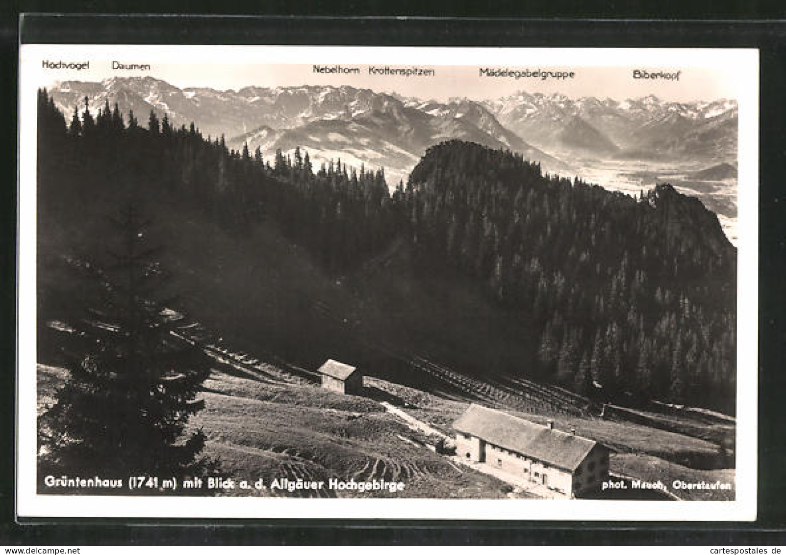 AK Grüntenhaus Mit Blick Auf Das Allgäuer Hochgebirge  - Zu Identifizieren