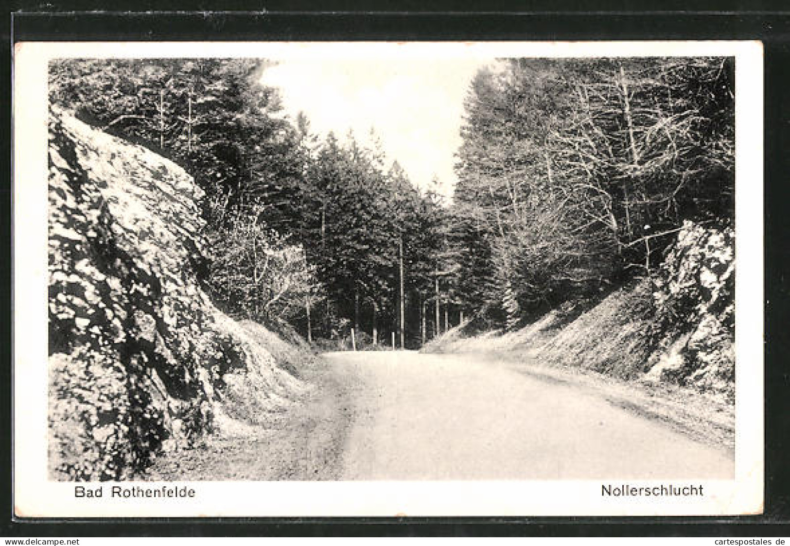 AK Bad Rothenfelde, Blick Auf Nollerschlucht  - Bad Rothenfelde