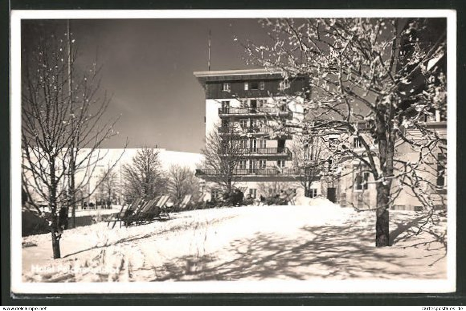 AK Feldberg, Blick Auf Das Hotel Feldberger Hof Im Winter  - Feldberg