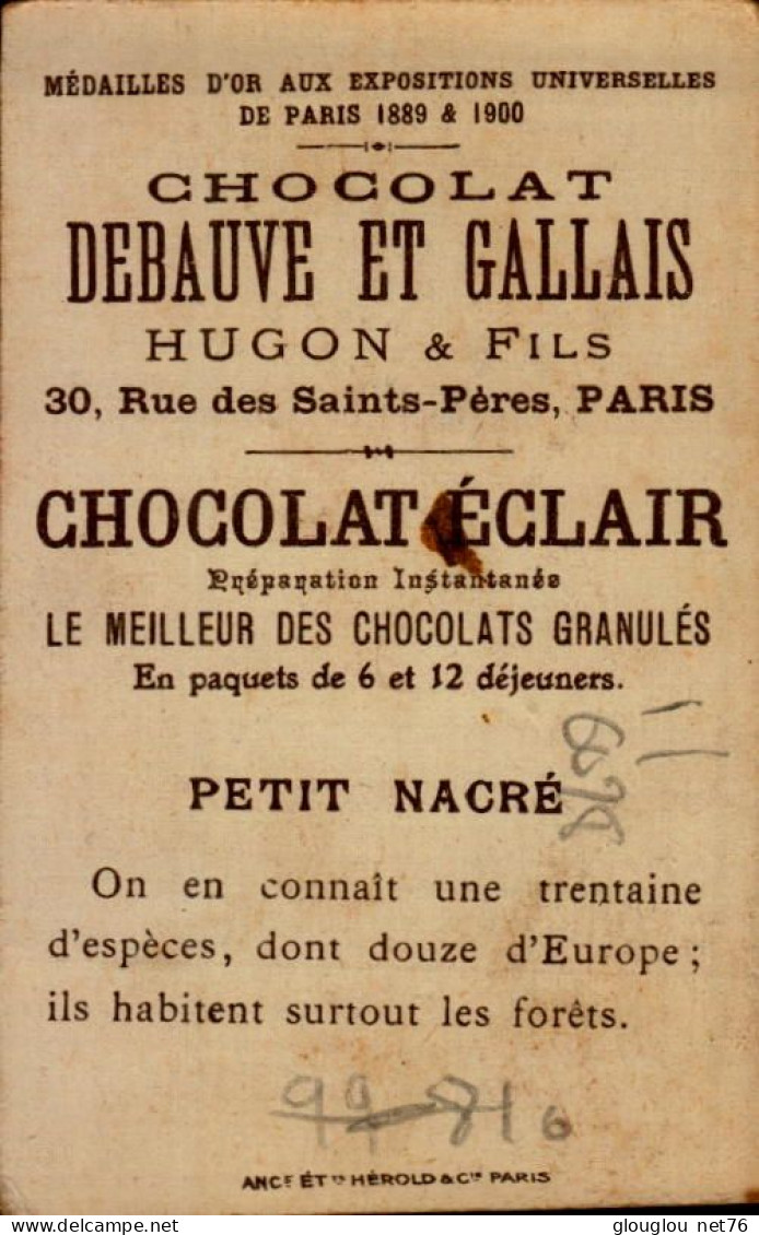 CHROMO. CHOCOLAT DEBAUVE ET GALLAIS...PAPILLON...PETIT NACRE   VOIR DOS - Sonstige & Ohne Zuordnung