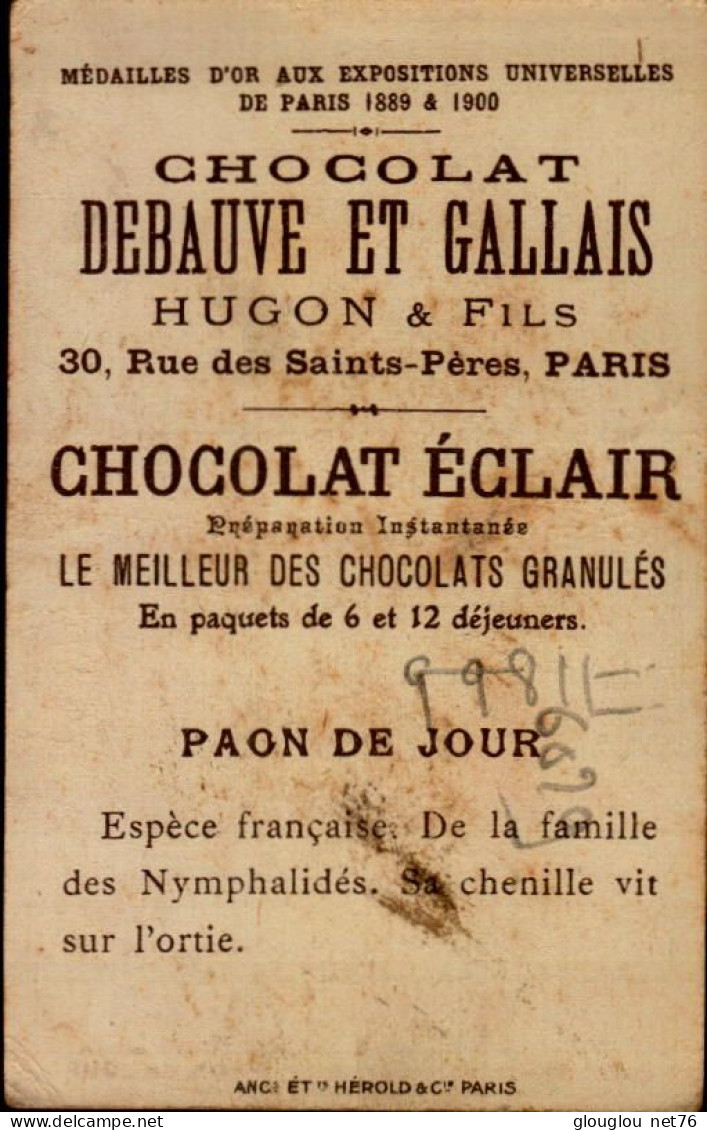 CHROMO. CHOCOLAT DEBAUVE ET GALLAIS...PAPILLON...PAON DU JOUR   VOIR DOS - Sonstige & Ohne Zuordnung