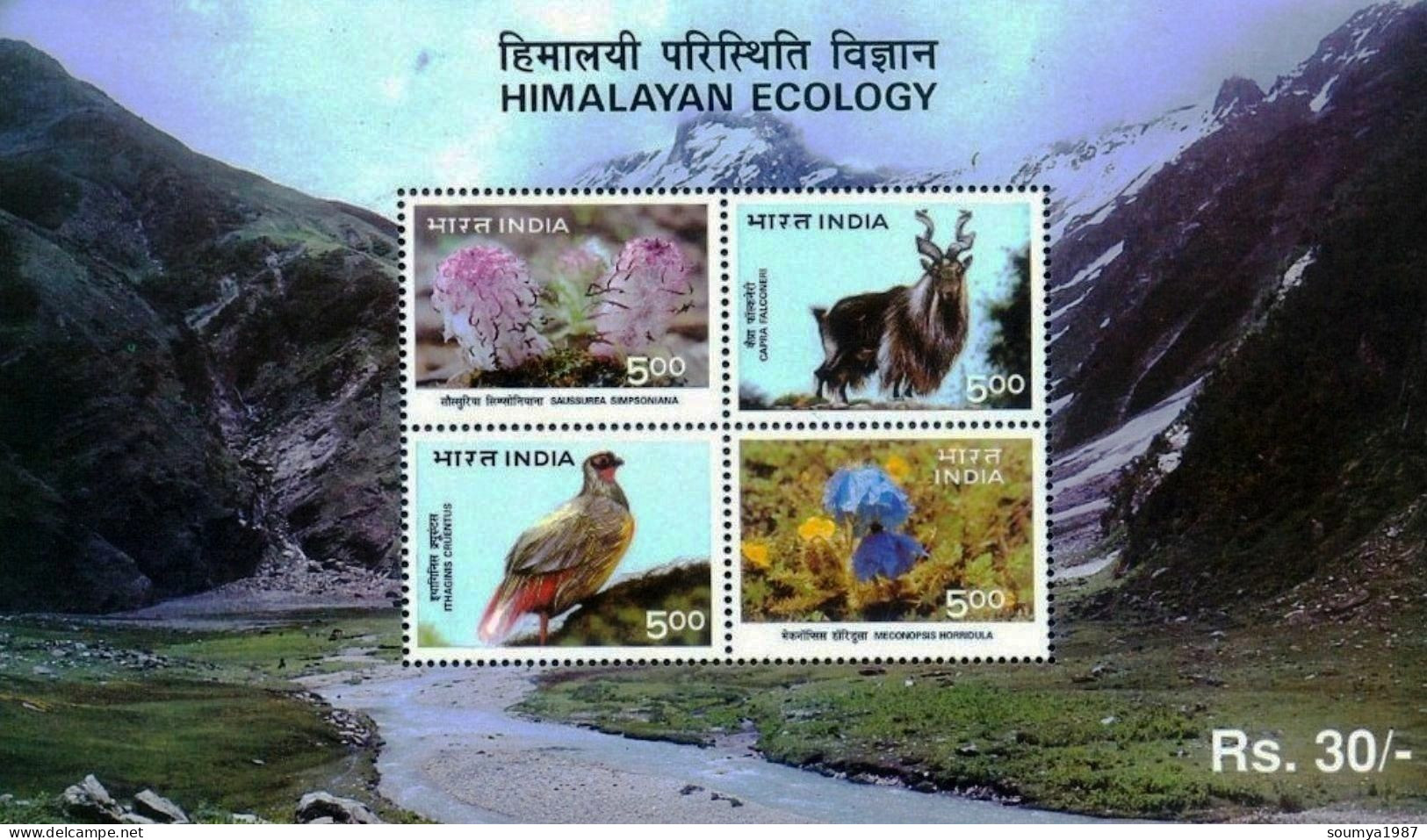 INDIA 1996 HIMALAYAN ECOLOGY BIRDS ANIMALS FLOWERS ORCHIDS MINIATURE SHEET MS MNH - Nuevos