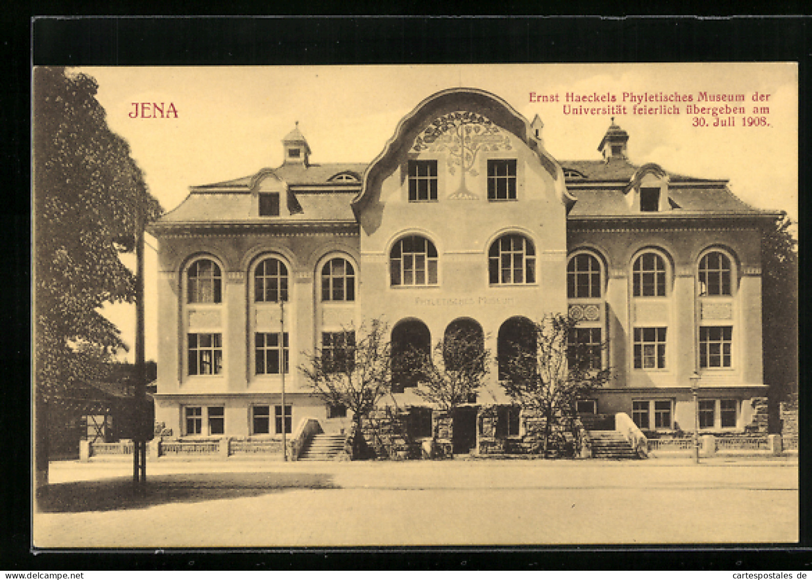 AK Jena, Ernst Haeckels Phyletisches Museum Der Universität  - Jena