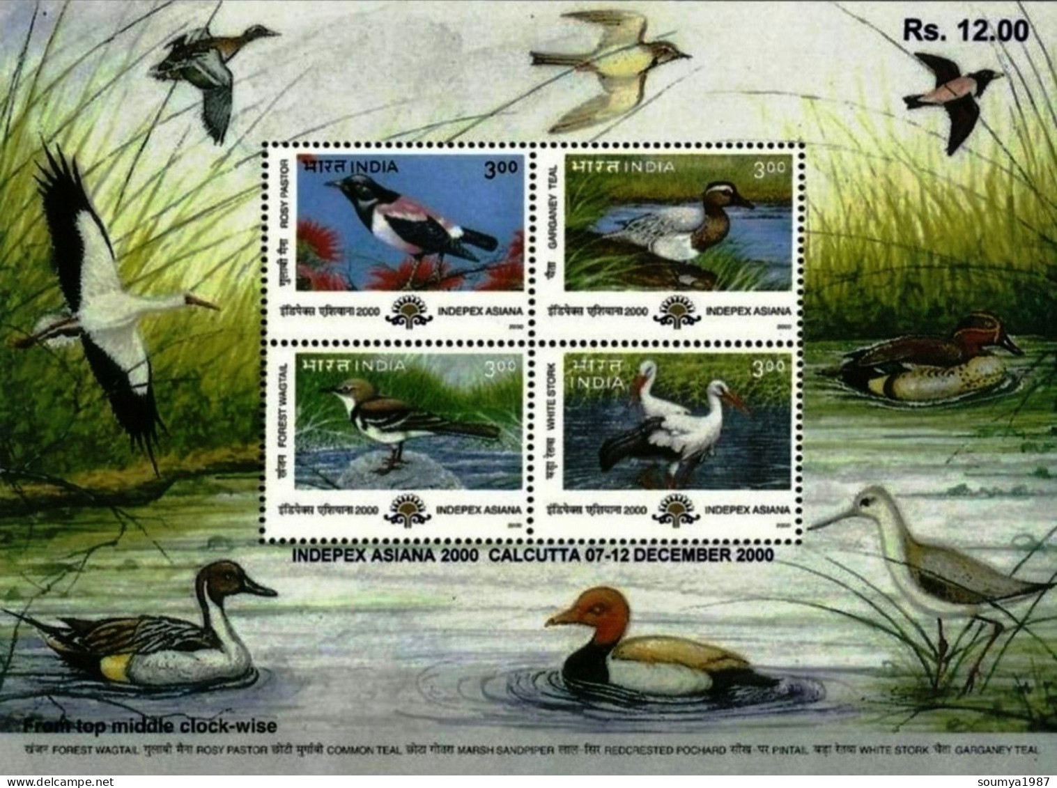 INDIA 2000 INDEPEX ASIANA MIGRATORY BIRDS MINIATURE SHEET MS BIRDS MNH - Unused Stamps