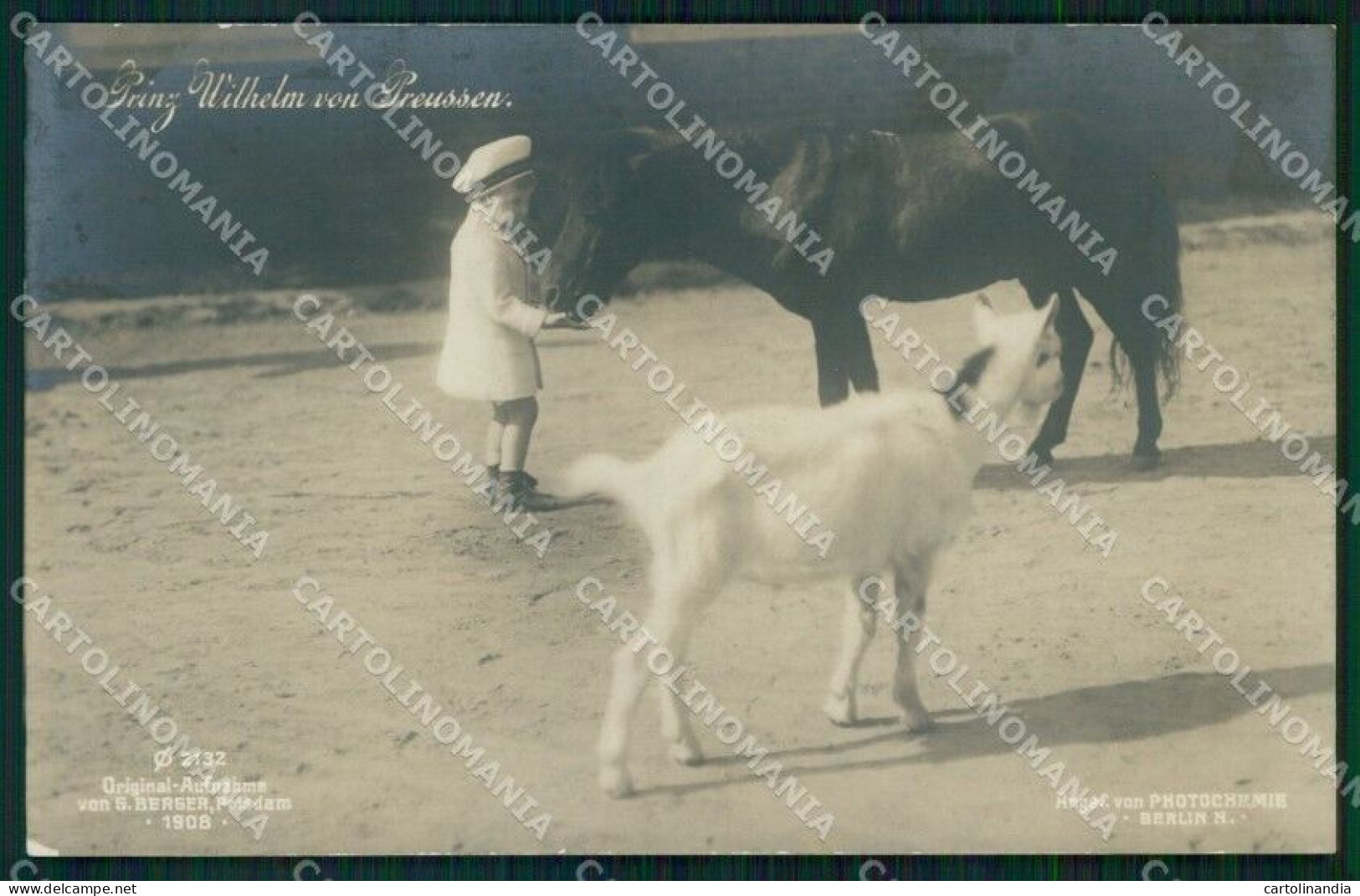 Reali Royalty Prinz Wilhelm Von Preussen Photo Cartolina XB7343 - Sonstige & Ohne Zuordnung