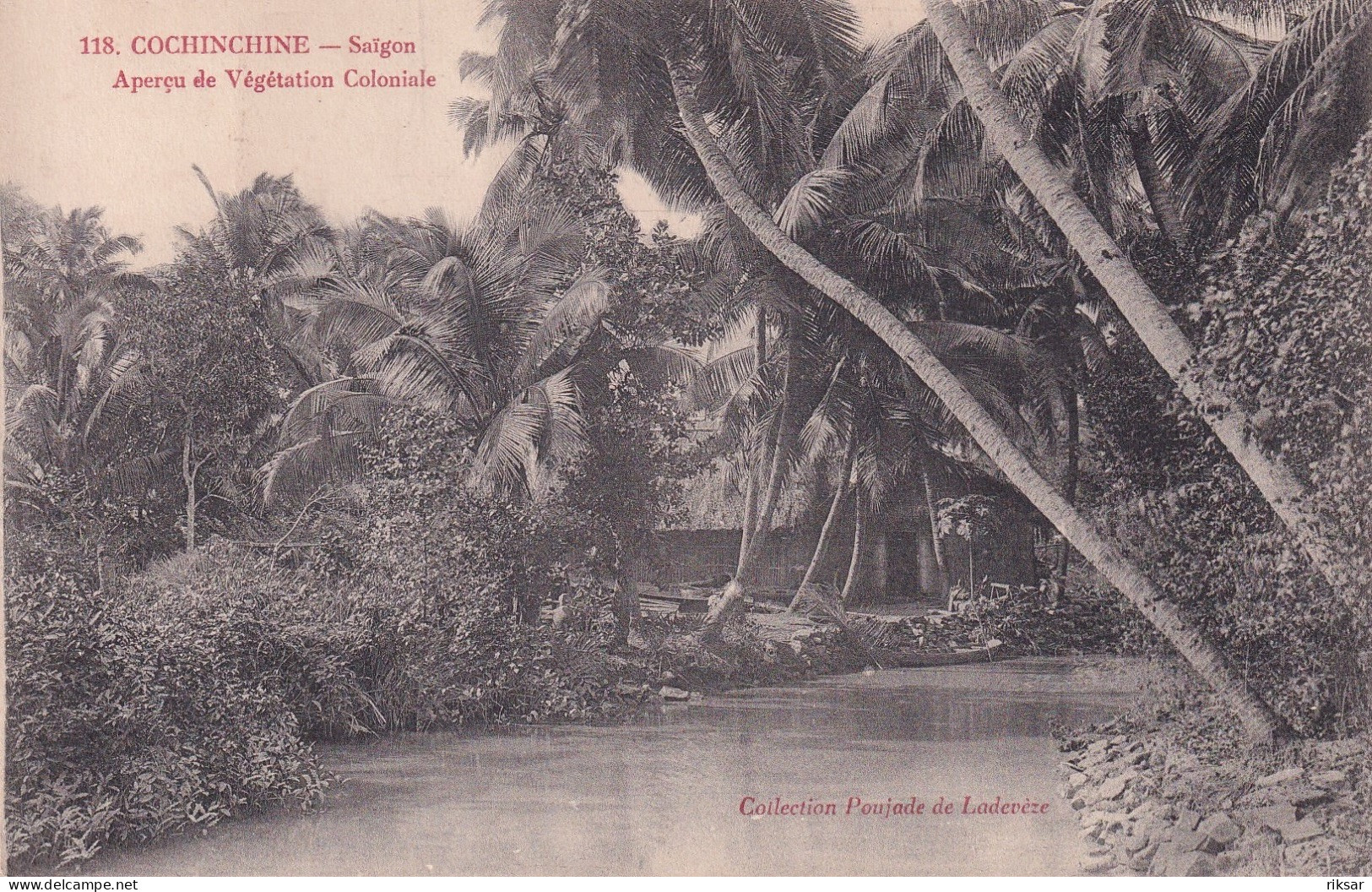 INDOCHINE(SAIGON) ARBRE - Vietnam