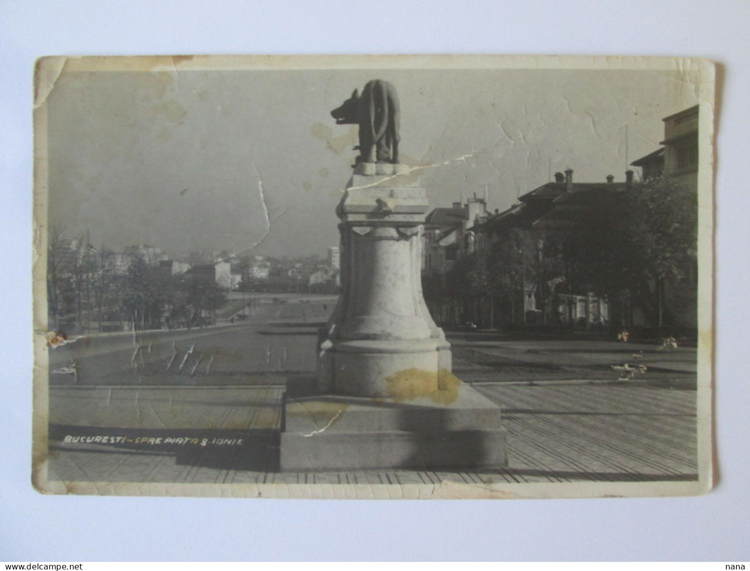 Rare! Romania-Bucuresti:June 8 Square,the Statue Of The Wolf(1930-1940) Unused Photo Postard 30s,see Pictures - Romania