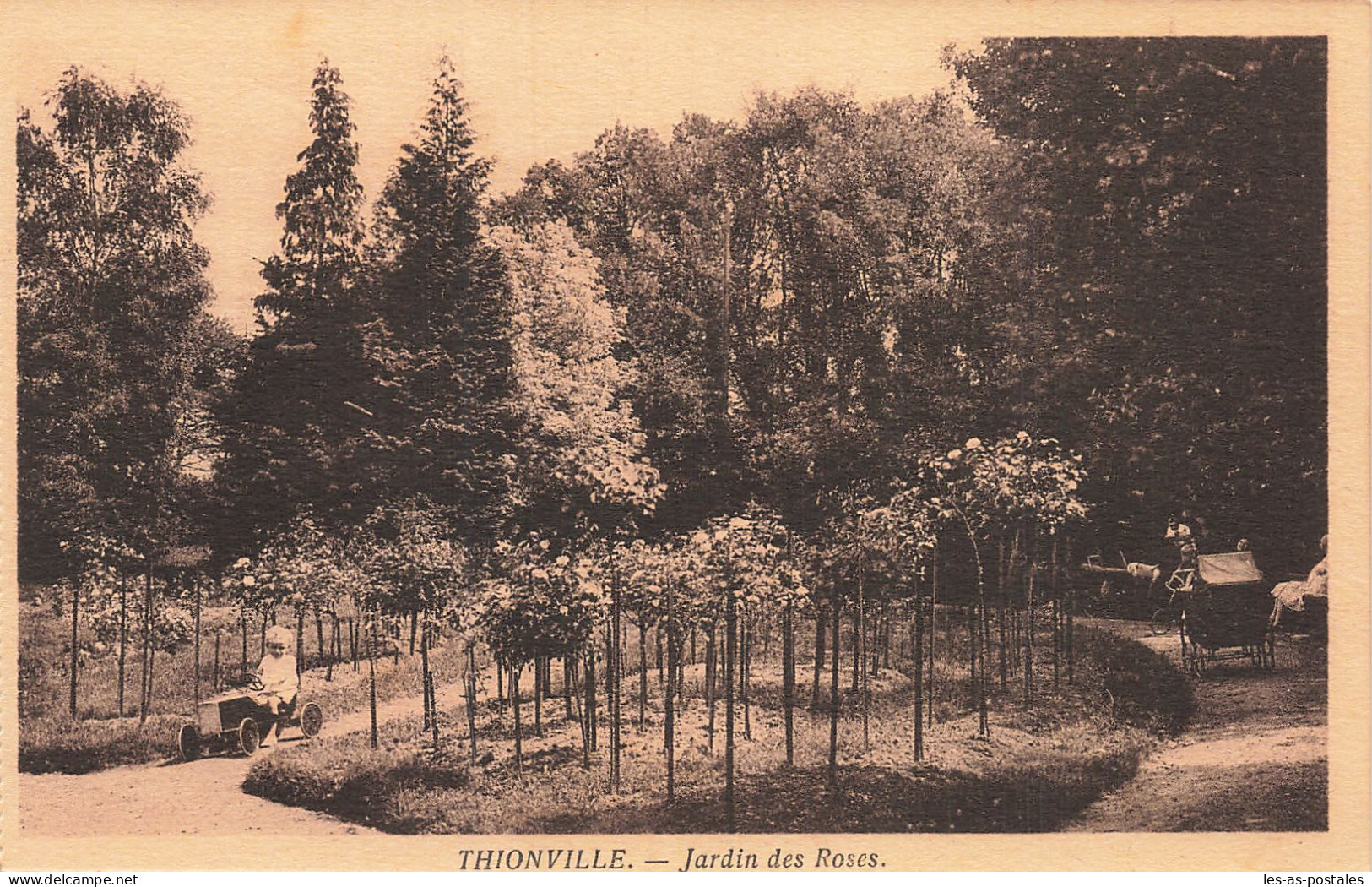 57 THIONVILLE LE JARDIN DES ROSES - Thionville