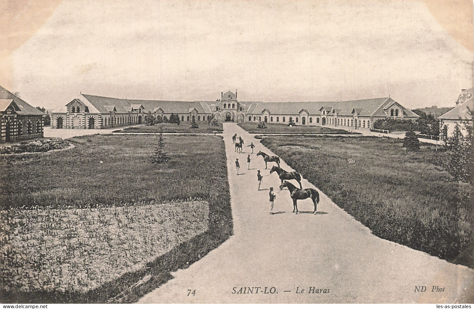 50 SAINT LO LE HARAS - Saint Lo