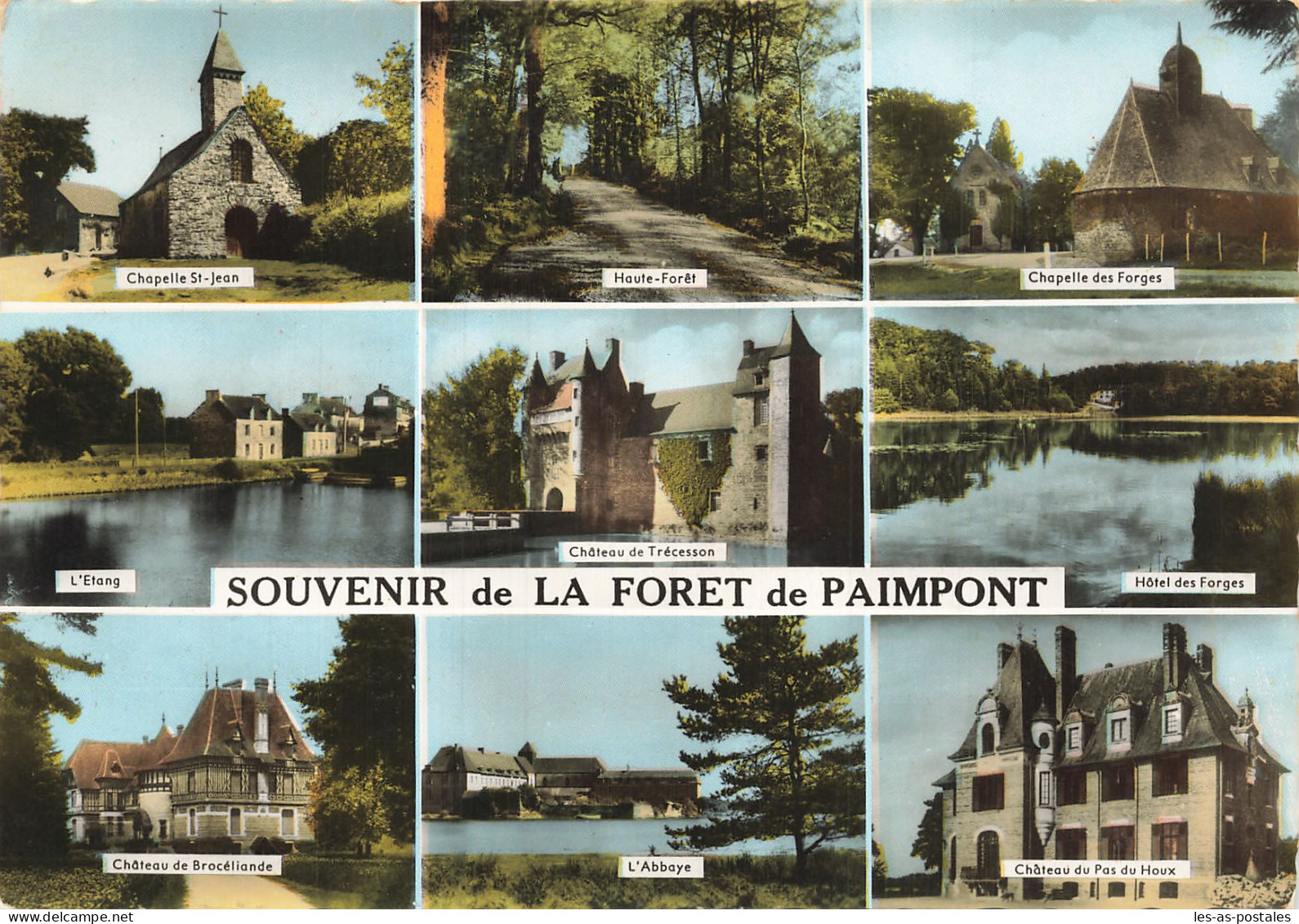 35 FORET DE PAIMPONT - Paimpont