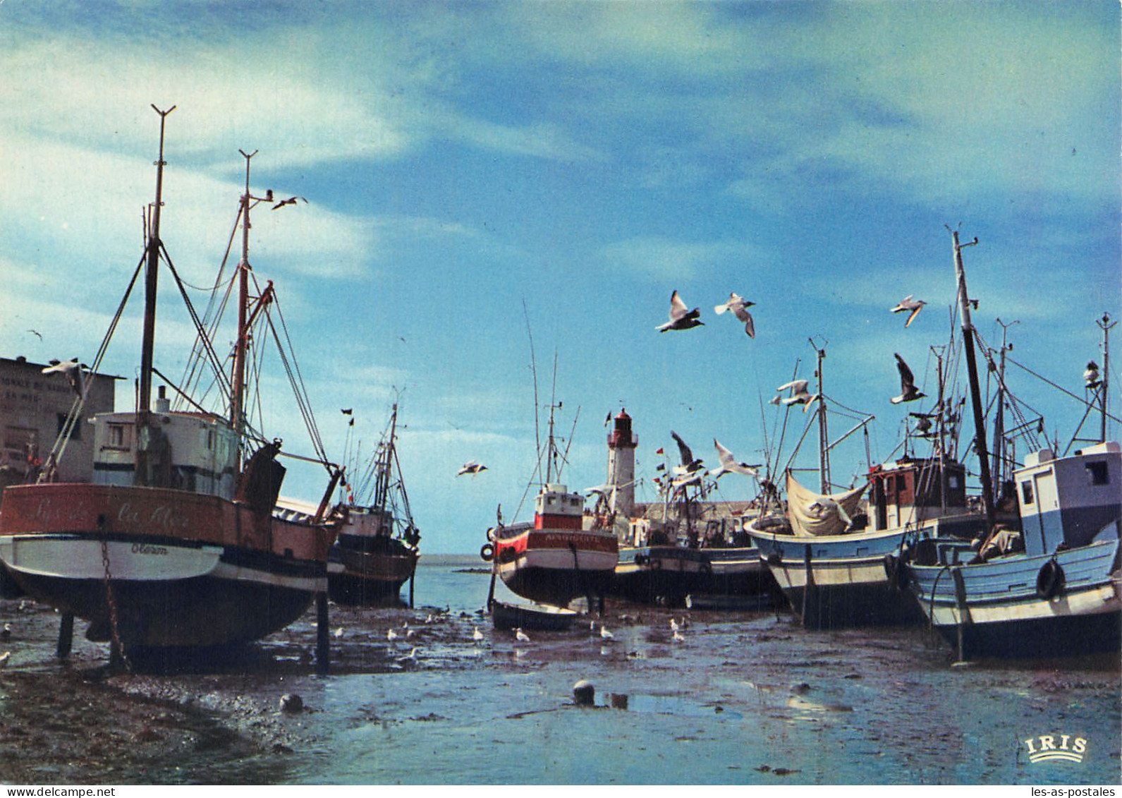 17 ILE D OLERON LE PORT DE LA COTINIERE - Ile D'Oléron