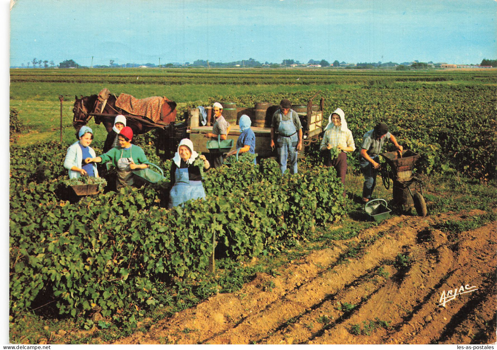 17 OLERON LES VENDANGES - Ile D'Oléron