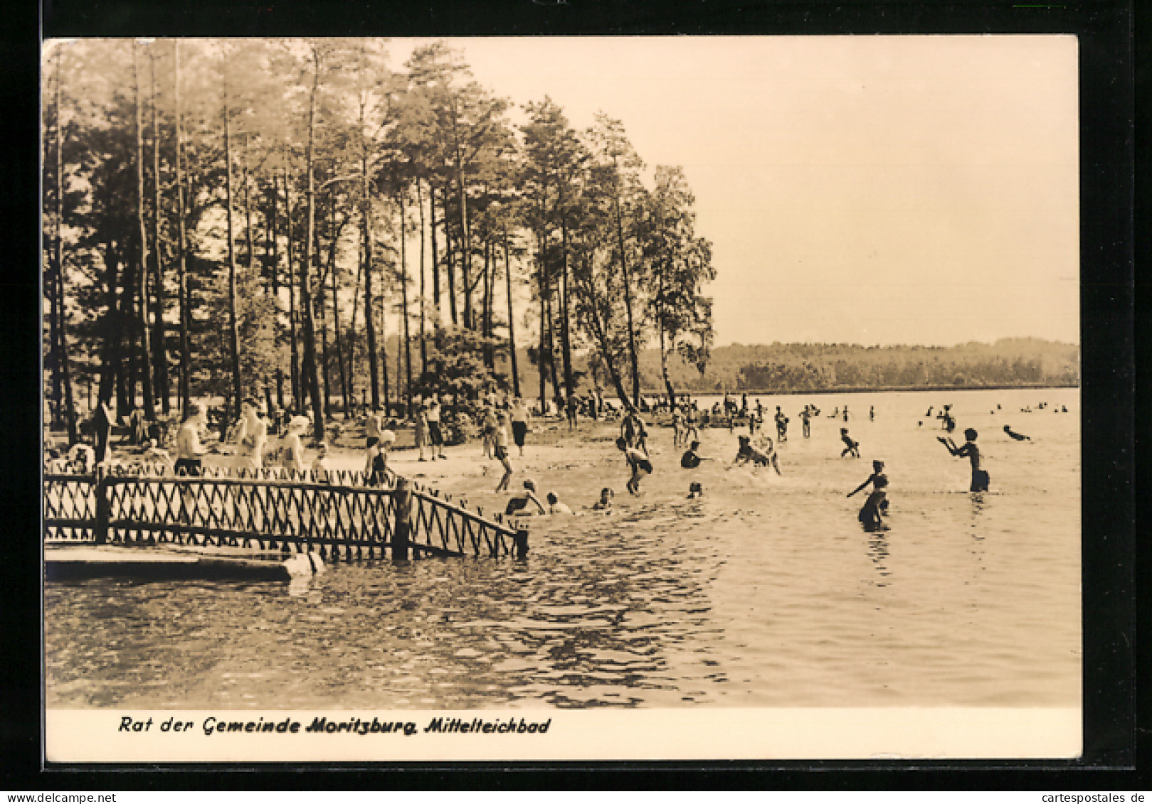 AK Moritzburg, Partie Am Mittelteichbad  - Moritzburg