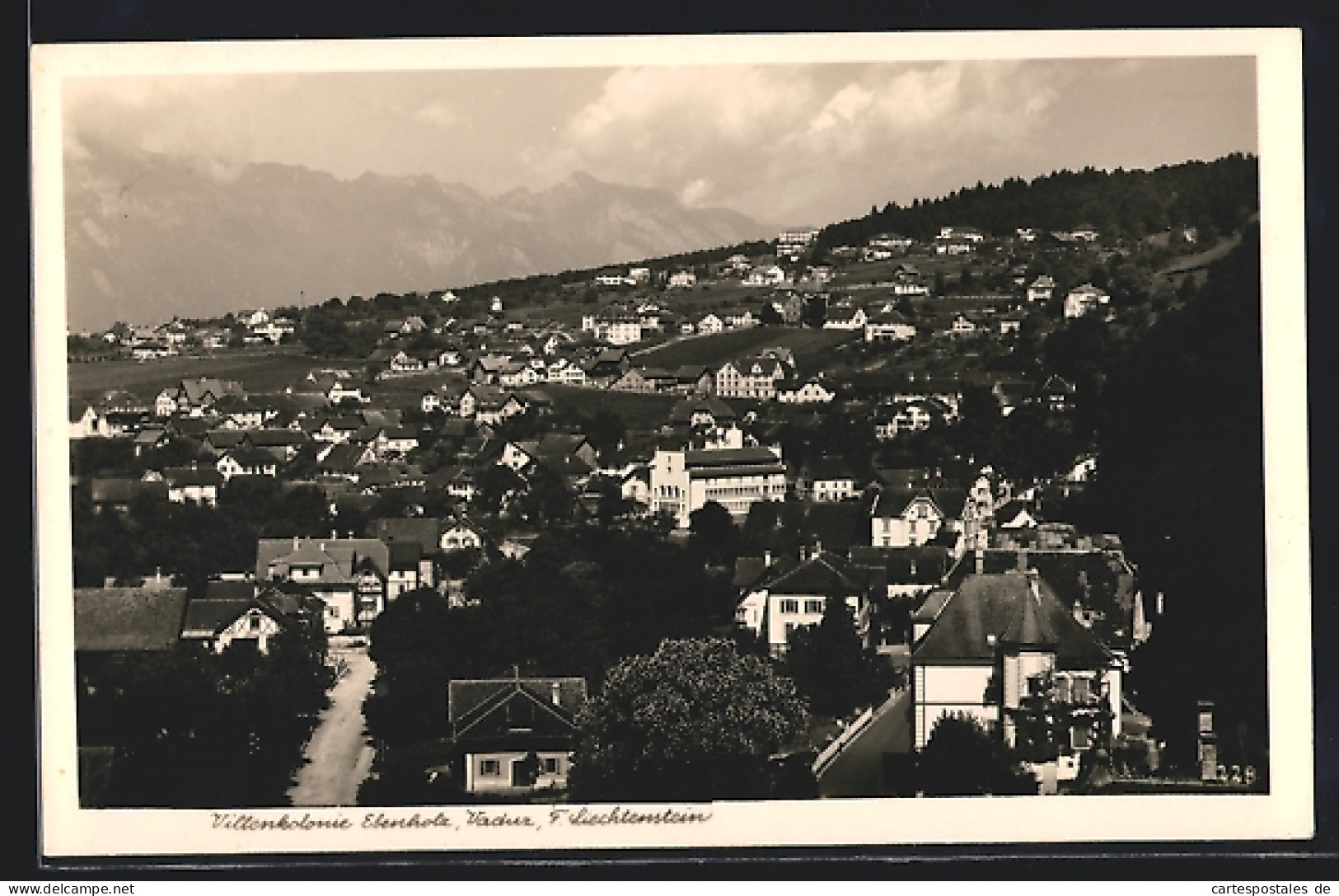 AK Vaduz, Die Villenkolonie Ebenholz Aus Der Vogelschau  - Liechtenstein