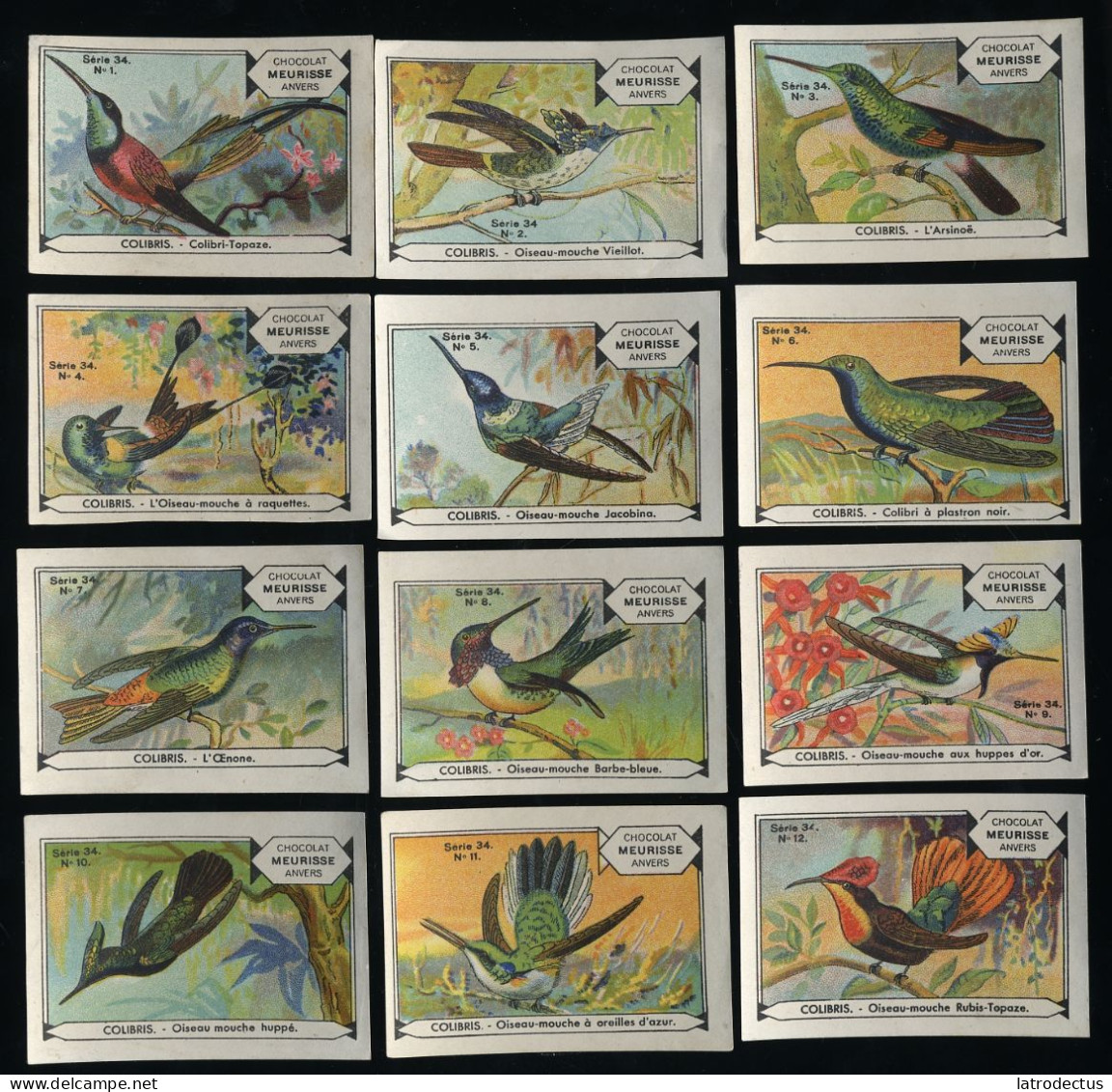 Meurisse - Ca 1930 - 34 - Les Colibris, Hummingbirds, Birds - Full Serie - Otros & Sin Clasificación