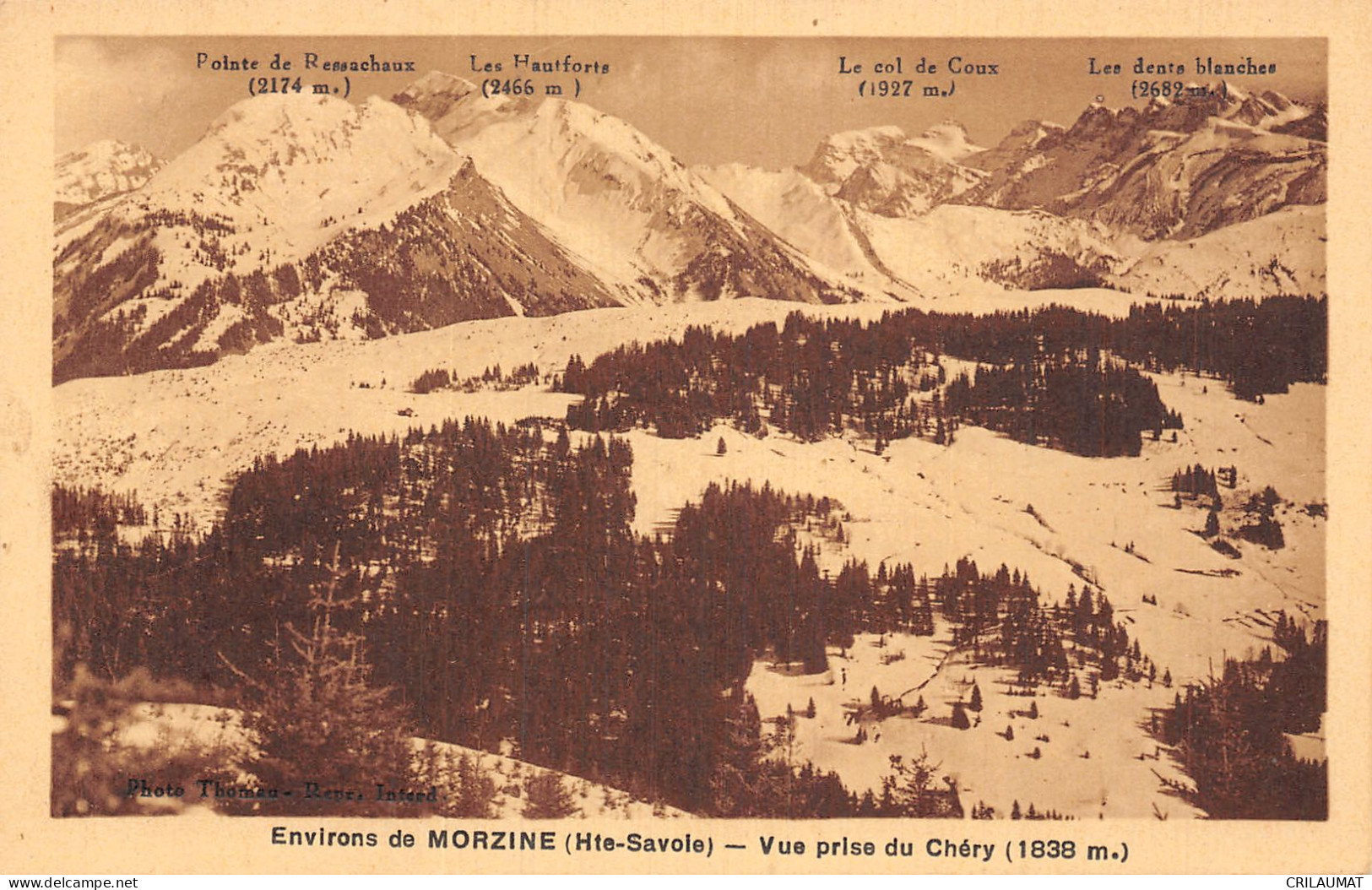 74-MORZINE-N°T5049-B/0221 - Morzine