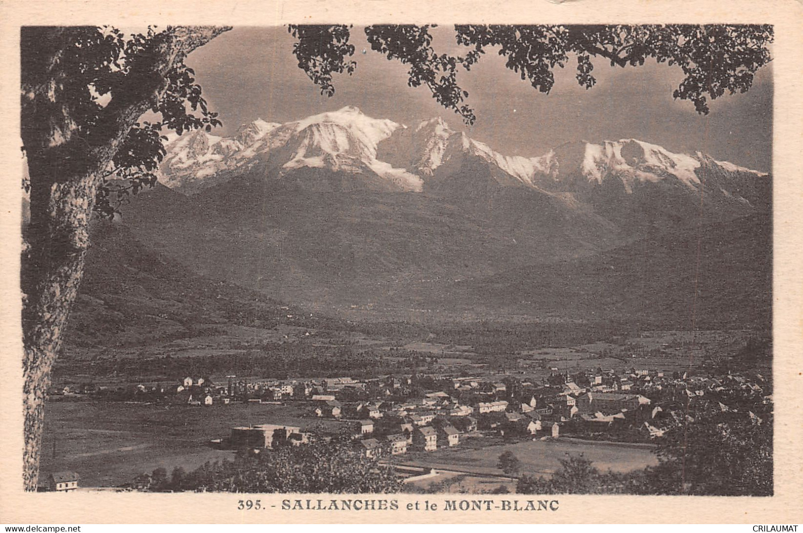 74-SALLANCHES ET LE MONT BLANC-N°T5049-B/0093 - Sallanches