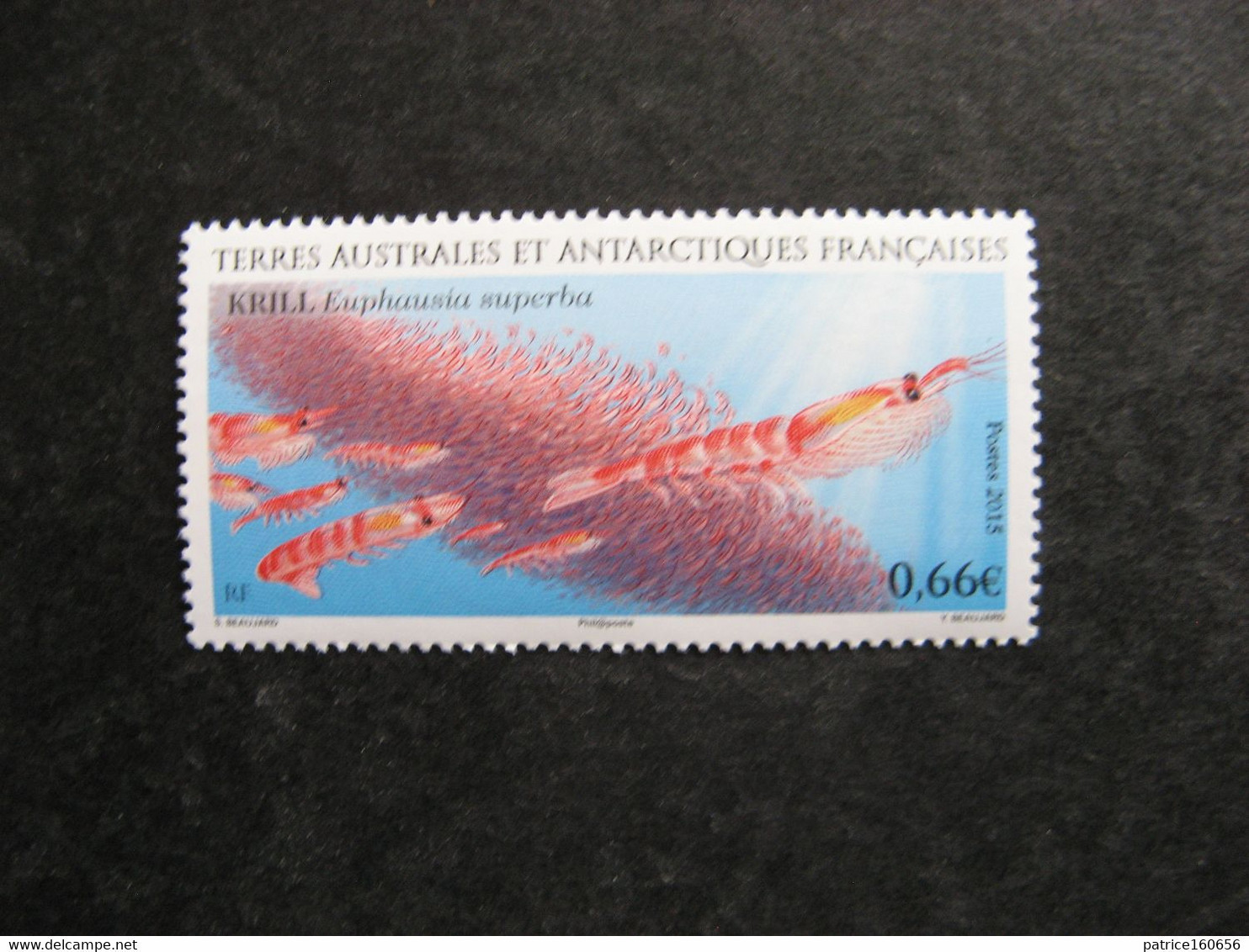TAAF:  TB N° 728, Neuf XX. - Unused Stamps