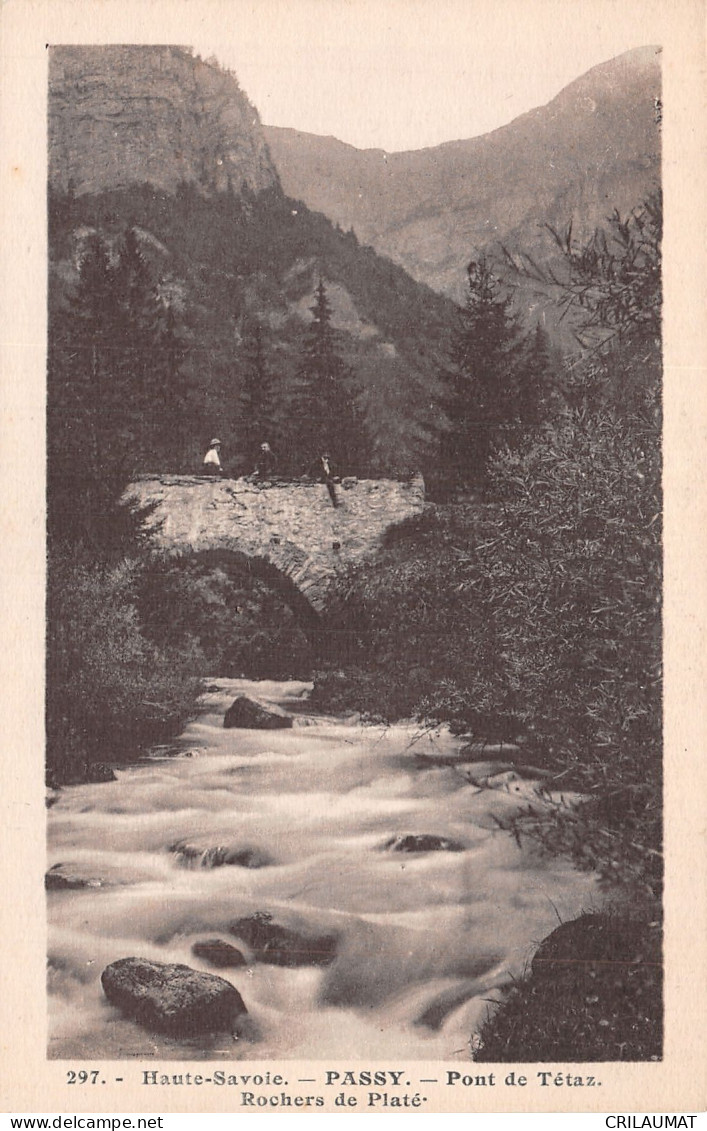 74-PASSY PONT DE TETAZ-N°T5049-D/0161 - Passy