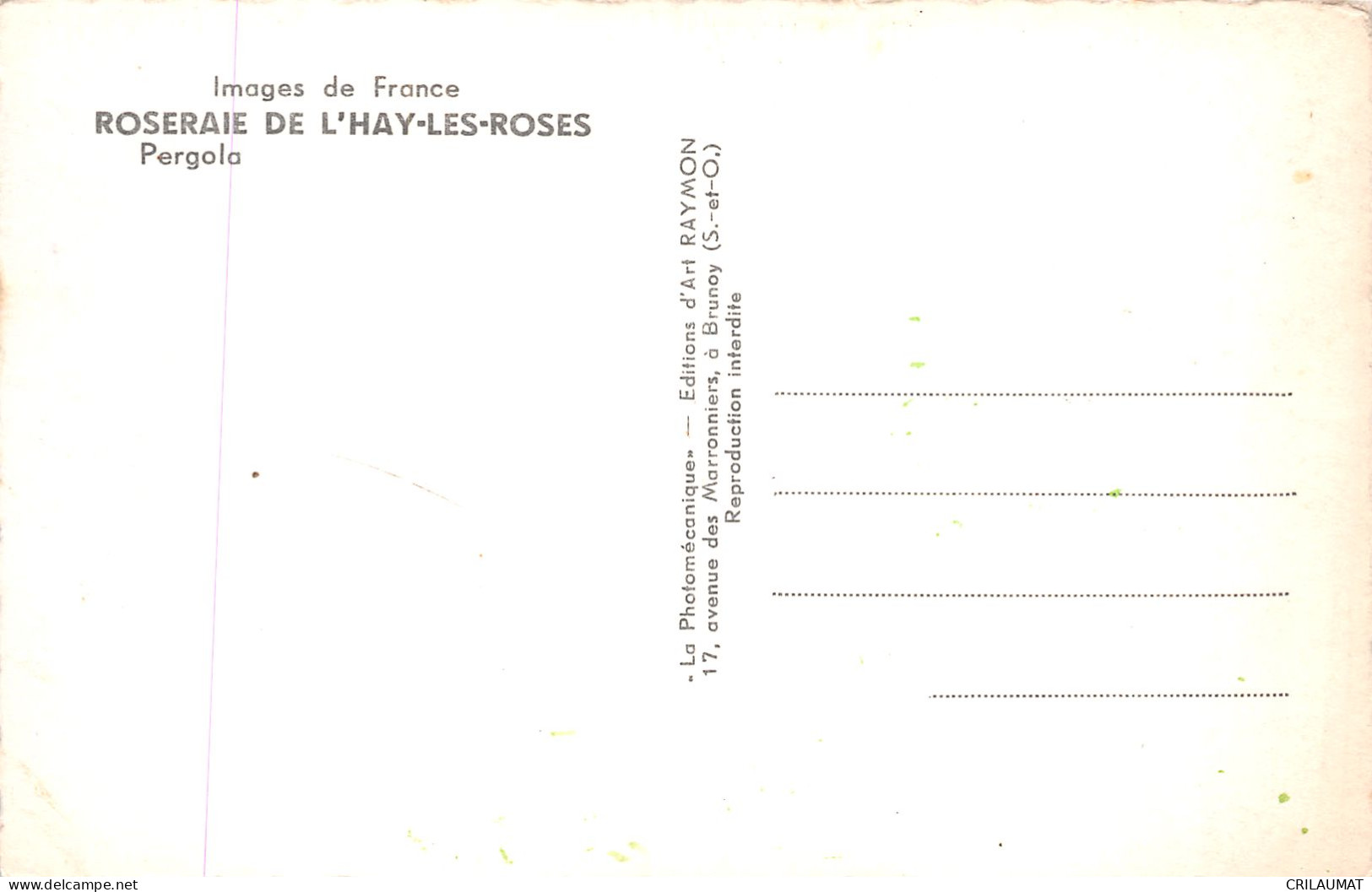 94-L HAY LES ROSES ROSERAIE-N°T5050-B/0117 - L'Hay Les Roses