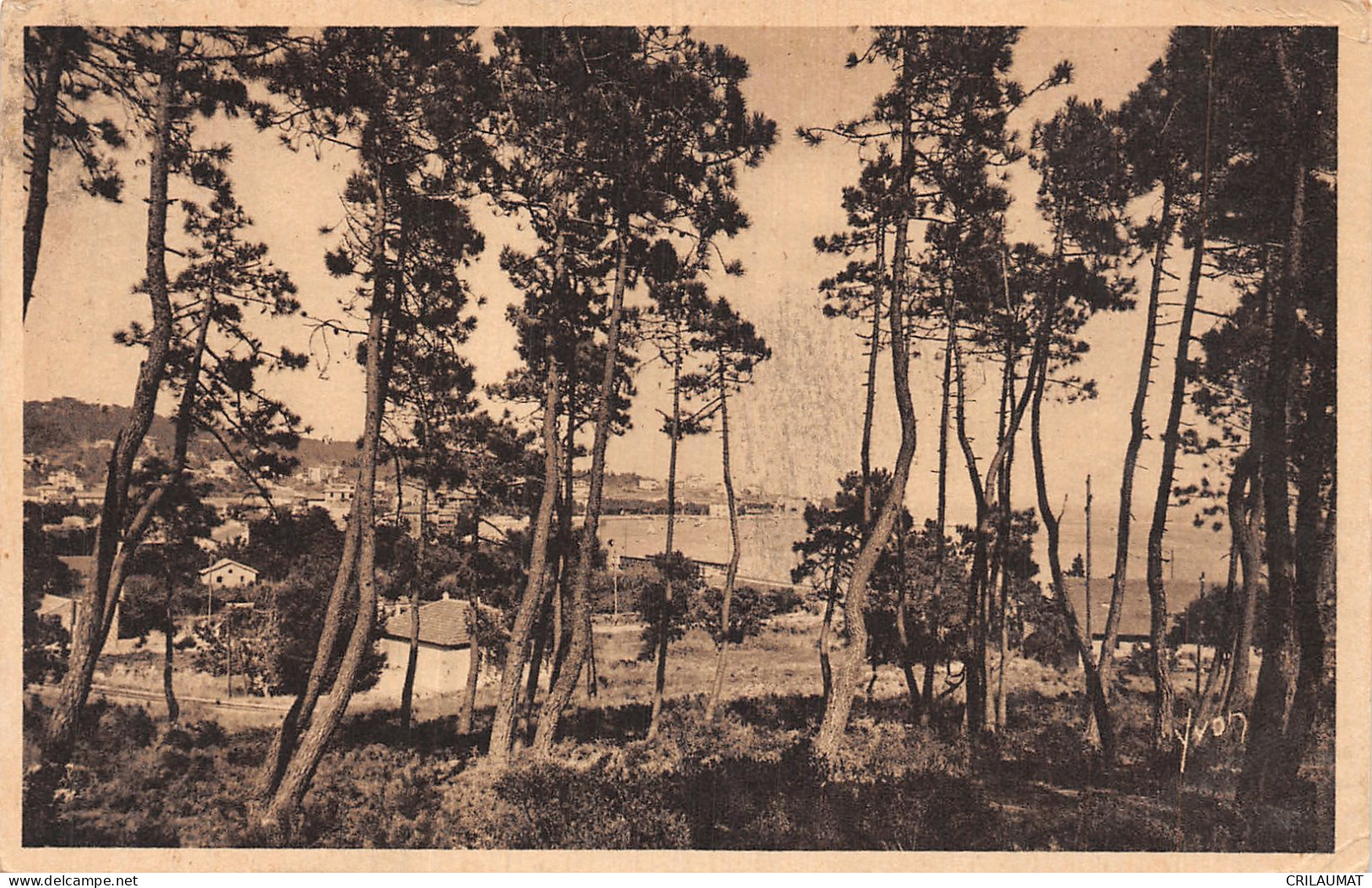 83-SAINTE MAXIME SUR MER-N°T5050-D/0349 - Sainte-Maxime