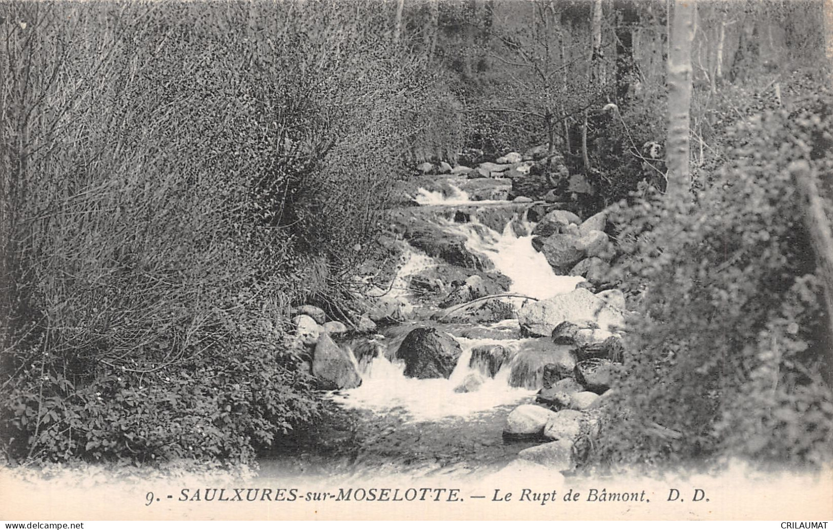 88-SAULXURES SUR MOSELOTTE-N°T5051-B/0287 - Saulxures Sur Moselotte