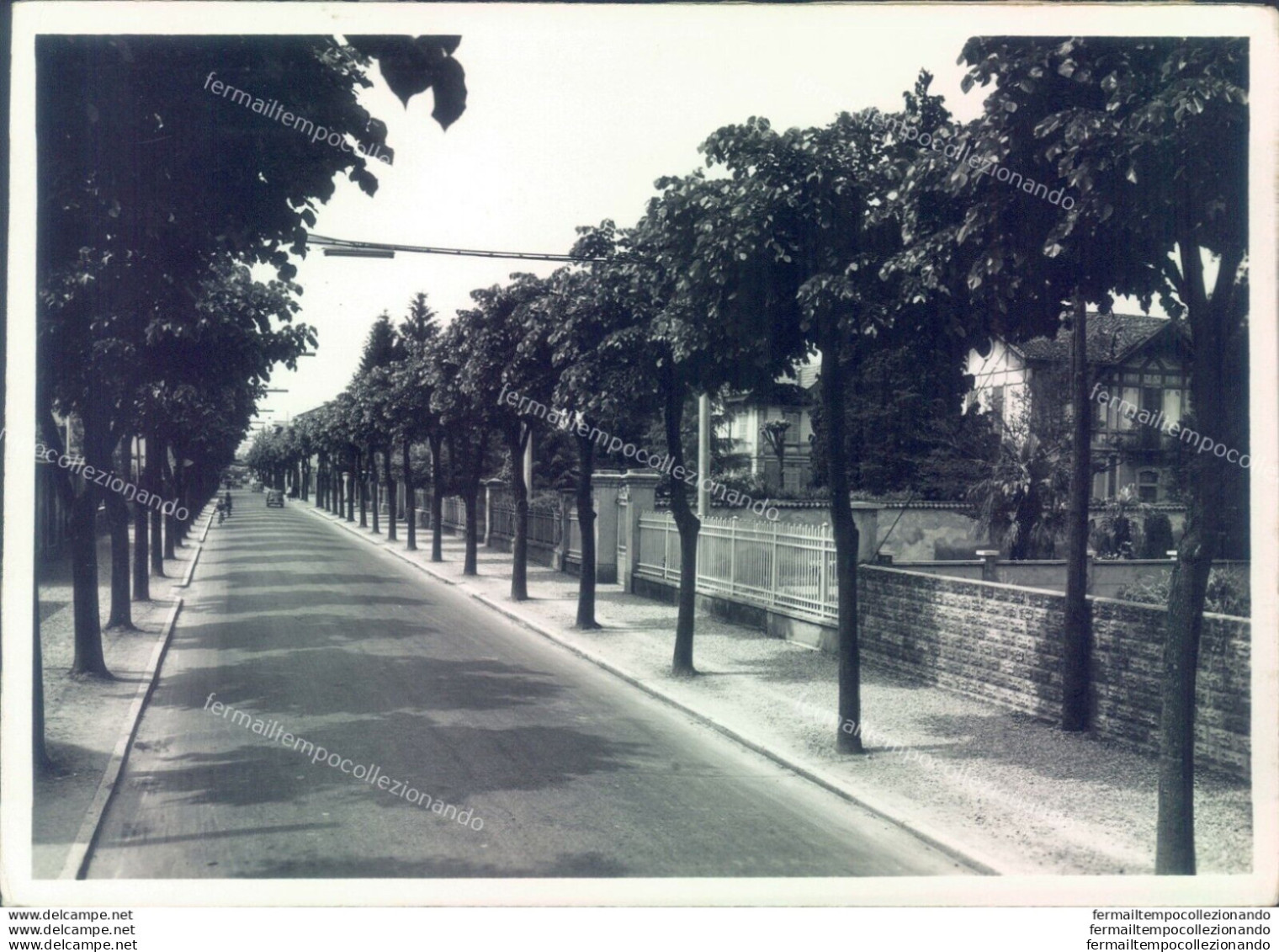 C318 - Bozza Fotografica Provincia Di Varese - Tradate  Viale Bernacchi - Varese