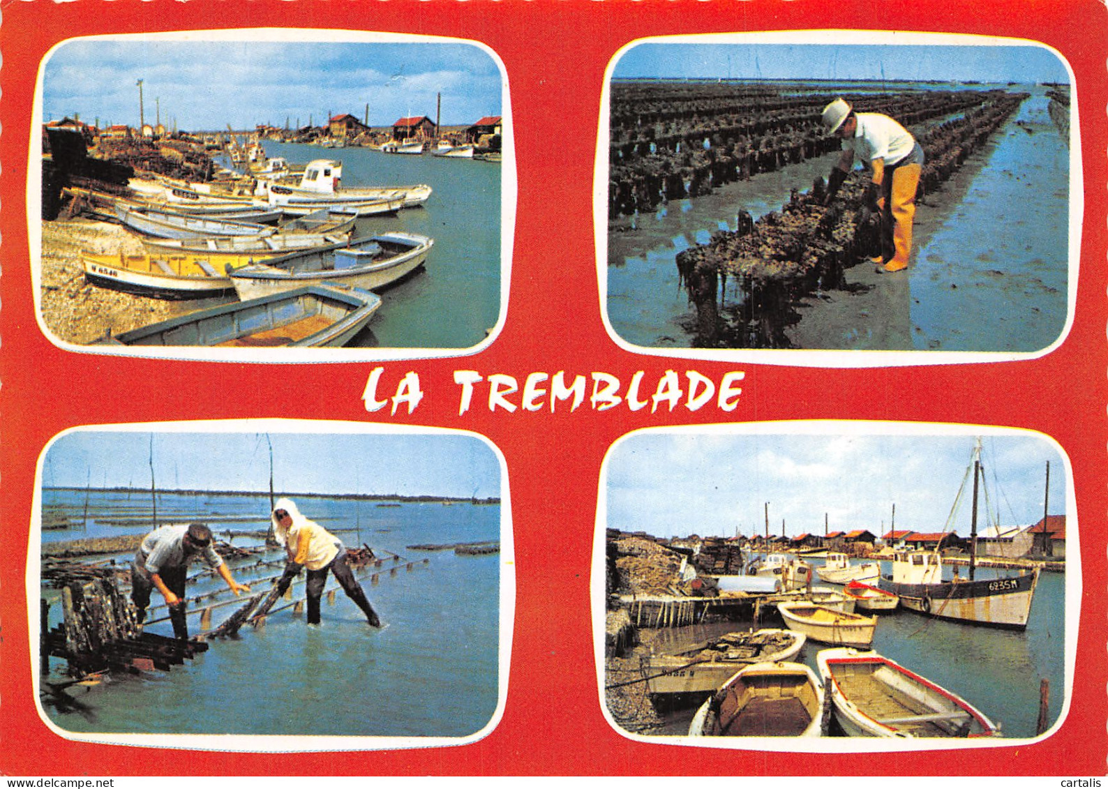 17-LA TREMBLADE-N°4241-C/0311 - La Tremblade
