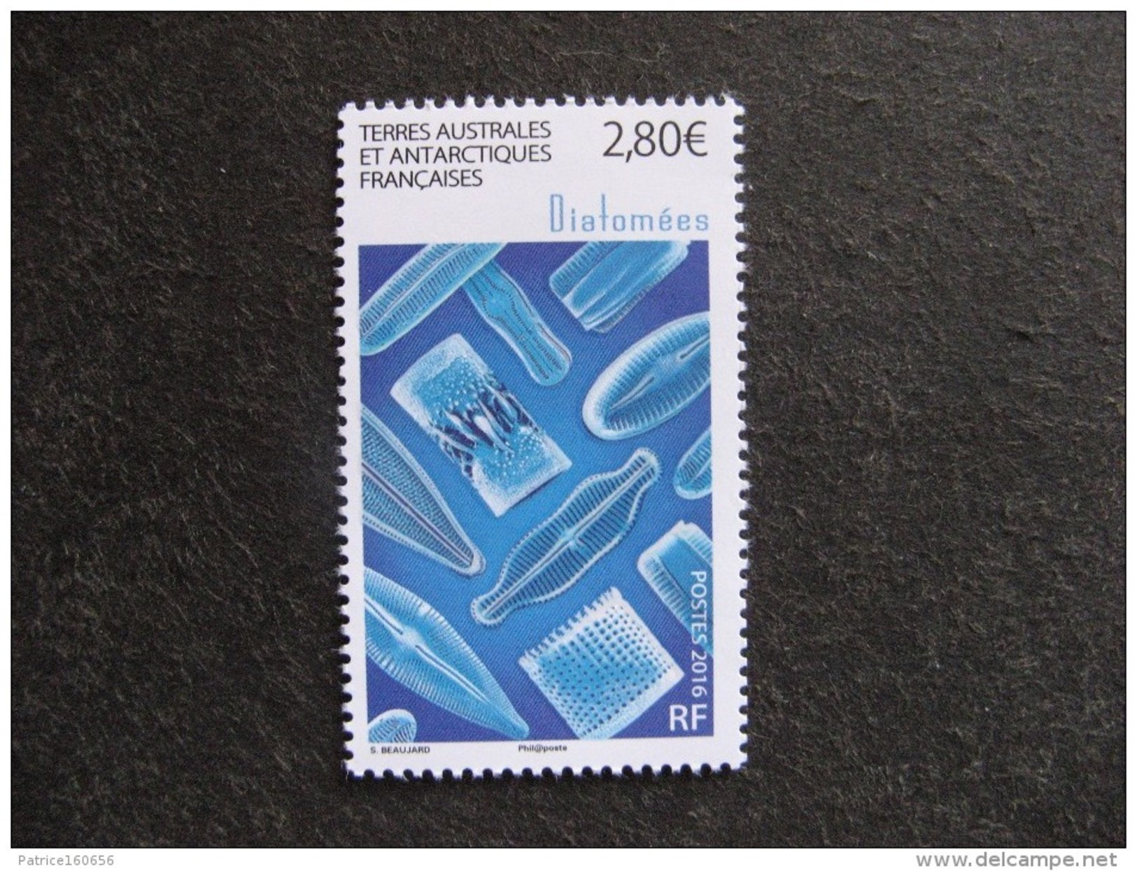 TAAF:  TB N° 768, Neuf XX. - Neufs