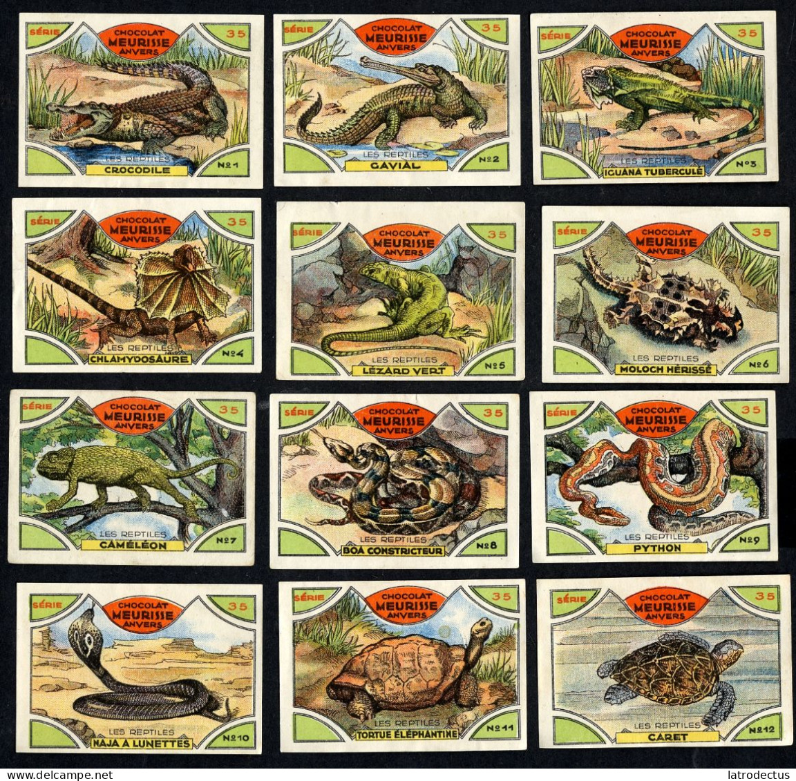 Meurisse - Ca 1930 - 35 - Les Reptiles, The Reptiles - Full Serie - Sonstige & Ohne Zuordnung